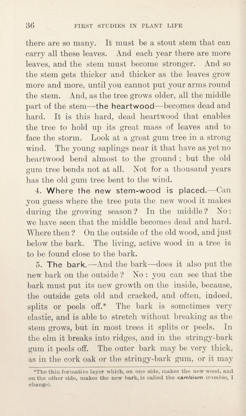 there are so many. It must be a stout stem that can carry all these leaves. And each year there are more leaves, and the stem must become stronger. And so the stem gets thicker and thicker as the leaves grow more and more, until you cannot put your arms round the stem. And, as the tree grows older, all the middle part of the stem—the heartwood—becomes dead and hard. It is this hard, dead heartwood that enables the tree to hold up its great mass of leaves and to face the storm. Look at a great gum tree in a strong wind. The young saplings near it that have as yet no heartwood bend almost to the ground ; but the old gum tree bends not at all. Not for a thousand years has the old gum tree bent to the wind. 4. Wh ere the new stem-wood is placed. —Can you guess where the tree puts the new wood it makes during the growing season? In the middle? No: we have seen that the middle becomes dead and hard. Where then ? On the outside of the old wood, and just below the bark. The living, active wood in a tree is to be found close to the bark. 5. The bark.—And the bark—does it also put the new bark on the outside ? No : you can see that the bark must put its new growth on the inside, because, the outside gets old and cracked, and often, indeed, splits or peels off.* The bark is sometimes very elastic, and is able to stretch without breaking as the stem grows, but in most trees it splits or peels. In the elm it breaks into ridges, and in the stringy-bark gum it peels off. The outer bark may be very thick, as in the cork oak or the stringy-bark gum, or it may *The thin formative layer which, on one side, makes the new wood, and on the other side, makes the new bark, is called the cambium (cambio, I change).