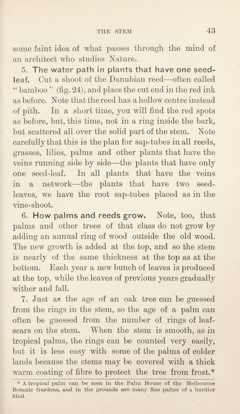 some faint idea of what passes through the mind of an architect who studies Nature. 5. The water path in plants that have one seed- leaf. Cut a shoot of the Danubian reed—often called “ bamboo ” (fig. 24), and place the cut end in the red ink as before. Note that the reed has a hollow centre instead of pith. In a short time, you will find the red spots as before, but, this time, not in a ring inside the bark, hut scattered all over the solid part of the stem. Note carefully that this is the plan for sap-tubes in all reeds, grasses, lilies, palms and other plants that have the veins running side by side—the plants that have only one seed-leaf. In all plants that have the veins in a network—the plants that have two seed- leaves, we have the root sap-tubes placed as in the vine-shoot. 6. How palms and reeds grow. Note, too, that palms and other trees of that class do not grow by adding an annual ring of wood outside the old wood. The new growth is added at the top, and so the stem is nearly of the same thickness at the top as at the bottom. Each year a new bunch of leaves is produced at the top, while the leaves of previous years gradually wither and fall. 7. Just as the age of an oak tree can be guessed from the rings in the stem, so the age of a palm can often be guessed from the number of rings of leaf- scars on the stem. When the stem is smooth, as in tropical palms, the rings can be counted very easily, but it is less easy with some of the palms of colder lands because the stems may be covered with a thick warm coating of fibre to protect the tree from frost.* * A tropical palm can be seen in the Palm House of the Melbourne Botanic Gardens, and in the grounds are many fine palms of a hardier kind.