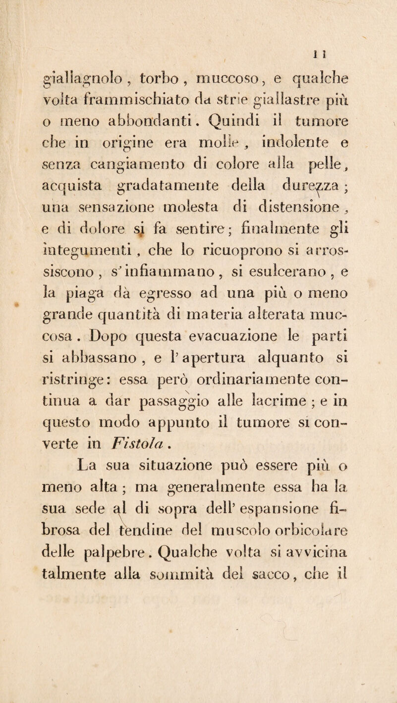 giallagnolo , torbe, muccoso, e qualche volta frammischiato da strie giallastre più o meno abbondanti. Quindi il tumore che in origine era molle , indolente e senza cangiamento di colore alla pelle, acquista gradatamente della durezza ; una sensazione molesta di distensione , e di dolore sj. fa sentire; finalmente gli integumenti , che lo ricuoprono si arros¬ siscono, sJinfiammano , si esulcerano , e la piaga dà egresso ad una più o meno grande quantità di materia alterata muc- cosa . Dopo questa evacuazione le parti si abbassano, e l’apertura alquanto si ristringe: essa però ordinariamente con¬ tinua a dar passaggio alle lacrime ; e in questo modo appunto il tumore si con¬ verte in Fistola. La sua situazione può essere più o meno alta ; ma generalmente essa ha la sua sede al di sopra dell’espansione fi¬ brosa del tendine de! muscolo orbicela re delle palpebre. Qualche volta si avvicina talmente alla sommità del sacco, che il