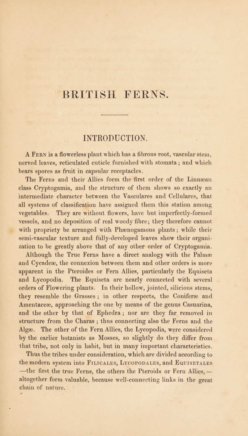 BRITISH FERNS. INTRODUCTION. A Fern is a flowerless plant which has a fibrous root, vascular stem, nerved leaves, reticulated cuticle furnished with stomata; and which bears spores as fruit in capsular receptacles. The Ferns and their Allies form the first order of the Linnaean class Cryptogamia, and the structure of them shows so exactly an intermediate character between the Vasculares and Cellulares, that all systems of classification have assigned them this station among vegetables. They are without flowers, have but imperfectly-formed vessels, and no deposition of real woody fibre; they therefore cannot with propriety be arranged with Phaenogamous plants; while their semi-vascular texture and fully-developed leaves show their organi- zation to be greatly above that of any other order of Cryptogamia. Although the True Ferns have a direct analogy with the Palmae and Cycadeae, the connexion between them and other orders is more apparent in the Pteroides or Fern Allies, particularly the Equiseta and Lycopodia. The Equiseta are nearly connected with several orders of Flowering plants. In their hollow, jointed, silicious stems, they resemble the Grasses ; in other respects, the Coniferae and Amentaceae, approaching the one by means of the genus Casuarina, and the other by that of Ephedra ; nor are they far removed in structure from the Charas ; thus connecting also the Ferns and the Algae. The other of the Fern Allies, the Lycopodia, were considered by the earlier botanists as Mosses, so slightly do they differ from that tribe, not only in habit, but in many important characteristics. Thus the tribes under consideration, which are divided according to the modern system into Filtcales, Lycopodales, and Equisetales —the first the true Ferns, the others the Pteroids or Fern Allies,— altogether form valuable, because well-connecting links in the great chain of nature.