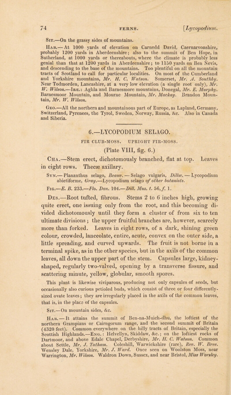 Sit.—On the grassy sides of mountains. Hab.— At 1000 yards of elevation on Carnedd David, Caernarvonshire, probably 1200 yards in Aberdeenshire; also to the summit of Ben Hope, in Sutherland, at 1000 yards or thereabouts, where the climate is probably less genial than that at 1200 yards in Aberdeenshire; to 1150 yards on Ben Nevis, and descending to the base of the mountains. Too plentiful on all the mountain tracts of Scotland to call for particular localities. On most of the Cumberland and Yorkshire mountains, Mr. H. C. Watson. Somerset, Mr. A. Southby. Near Todmorden, Lancashire, at a very low elevation (a single root only), Mr. W. Wilson.—Ire.: Aglila and Barnesmore mountains, Donegal, Mr. E. Murphy. Barnesmoor Mountain, and Mourne Mountain, Mr. Machay. Brandon Moun- tain, Mr. W. Wilson. Geo.—All the northern and mountainous part of Europe, as Lapland, Germany, Switzerland, Pyrenees, the Tyrol, Sweden, Norway, Russia, &c. Also in Canada and Siberia. 6.—LYCOPODIUM SELAGO. FIR CLUB-MOSS. UPRIGHT FIR-MOSS. (Plate VIII, fig. 6.) Cha.—Stem erect, dichotomously branched, flat at top. Leaves in eight rows. Thecae axillary. Syn.— Plananthus selago, Beauv. — Selago vulgaris, Dillw. — Lycopodium abietiforme, Gray.—Lycopodium selago of other botanists. Fig.—E. B. 233.—Flo. Dan. 104.—Dill. Mus. t. 56,/. 1. Des.—Root tnfted, fibrous. Stems 2 to 6 inches high, growing quite erect, one issuing only from the root, and this becoming di- vided dichotomously until they form a cluster of from six to ten ultimate divisions ; the upper fruitful branches are, however, scarcely more than forked. Leaves in eight rows, of a dark, shining green colour, crowded, lanceolate, entire, acute, convex on the outer side, a little spreading, and curved upwards. The fruit is not borne in a terminal spike, as in the other species, but in the axils of the common leaves, all down the upper part of the stem. Capsules large, kidney- shaped, regularly two-valved, opening by a transverse fissure, and scattering minute, yellow, globular, smooth spores. This plant is likewise viviparous, producing not only capsules of seeds, but occasionally also curious petioled buds, which consist of three or four differently- sized ovate leaves; they are irregularly placed in the axils of the common leaves, that is, in the place of the capsules. Sit.—On mountain sides, &c. Hab. — It attains the summit of Ben-na-Muich-dhu, the loftiest of the northern Grampians or Cairngorum range, and the second summit of Britain (4320 feet). Common everywhere on the hilly tracts of Britain, especially the Scottish Highlands.—Eng. : Helvellyn, Skiddaw, &c.; on the loftiest rocks of Dartmoor, and above Edale Chapel, Derbyshire, Mr. H. C. Watson. Common about Settle, Mr. J. Tatham. Coleshill, Warwickshire (rare), Rev. W. Bree. Wensley Dale, Yorkshire, Mr. J. Ward. Once seen on Woolston Moss, near Warrington, Mr. Wilson. Waldron Down, Sussex, and near Bristol, Miss Worsley.