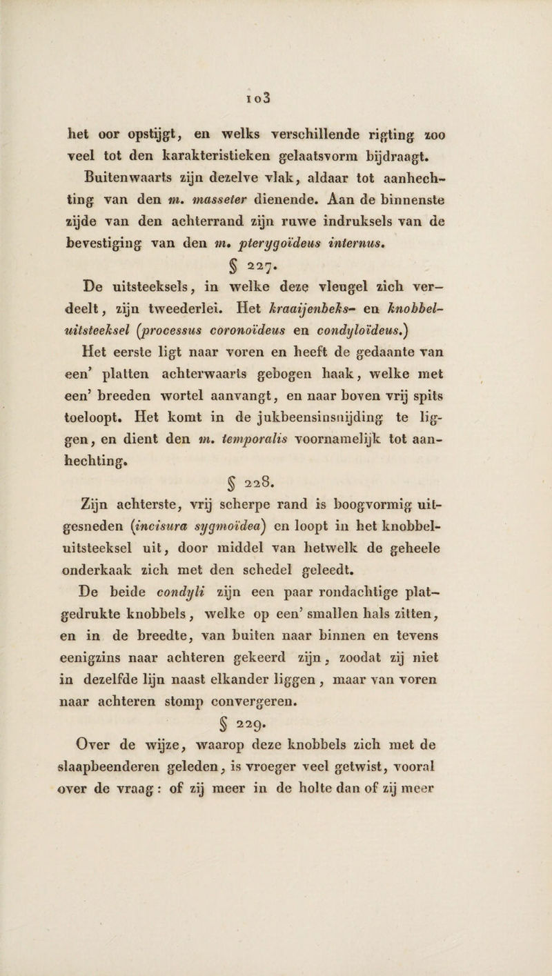 het oor opstijgt, en welks verschillende rigting zoo veel tot den karakteristieken gelaatsvorm bijdraagt. Buitenwaarts zijn dezelve vlak, aldaar tot aanhech¬ ting van den m. masseter dienende. Aan de binnenste zijde van den achterrand zijn ruwe indruksels van de bevestiging van den m, pterygoïdeus internus. § 227. De uitsteeksels, in welke deze vleugel zich ver¬ deelt , zijn tweederlei. Het Itraaijenbebs- en knohbel- uitsteeksel (jprocessus coronoïdeus en condyloïdeus.) Het eerste ligt naar voren en heeft de gedaante van een’ platten achterwaarts gebogen haak, welke met een’ breeden wortel aanvangt, en naar boven vrij spits toeloopt. Het komt in de jukbeensinsnijding te lig¬ gen, en dient den m. temporalis voornamelijk tot aan¬ hechting. § 228. Zijn achterste, vrij scherpe rand is boogvormig uit¬ gesneden (incisura sygmoïdea) en loopt in het knobbel- uitsteeksel uit, door middel van hetwelk de geheele onderkaak zich met den schedel geleedt. De beide condyli zijn een paar rondachtige plat¬ gedrukte knobbels, welke op een’ smallen hals zitten, en in de breedte, van buiten naar binnen en tevens eenigzins naar achteren gekeerd zijn, zoodat zij niet in dezelfde lijn naast elkander liggen , maar van voren naar achteren stomp convergeren. § 229. Over de wijze, waarop deze knobbels zich met de slaapbeenderen geleden, is vroeger veel getwist, vooral over de vraag: of zij meer in de holte dan of zij meer
