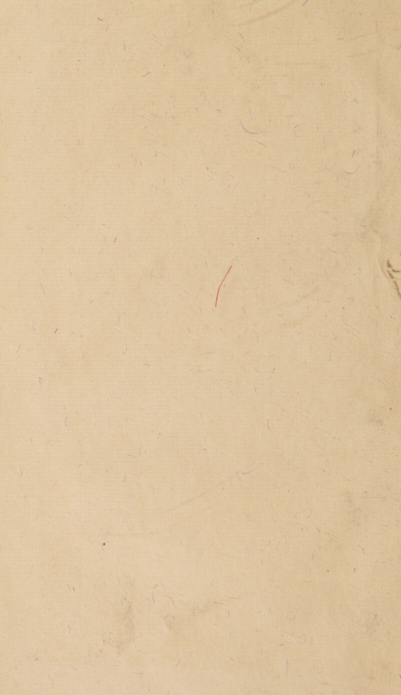 / l s( \ V \- \ \ J i I V • v> J '• / \. \ / \ \ N / ■ \ * y 7 \ V \