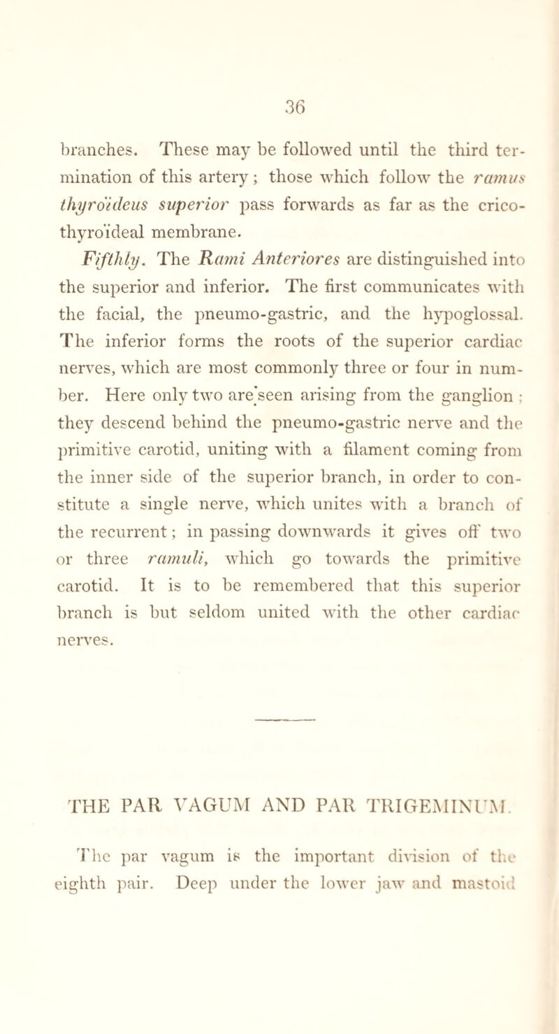 branches. These may be followed until the third ter¬ mination of this artery ; those which follow the ramus thyro'ideus superior pass forwards as far as the crico- thyroideal membrane. Fifthly. The Rami Anteriores are distinguished into the superior and inferior. The first communicates with the facial, the pneumo-gastric, and the hypoglossal. The inferior forms the roots of the superior cardiac nerves, which are most commonly three or four in num¬ ber. Here only two are'seen arising from the ganglion ; they descend behind the pneumo-gastric nerve and the primitive carotid, uniting with a filament coming from the inner side of the superior branch, in order to con¬ stitute a single nerve, which unites with a branch of the recurrent; in passing downwards it gives off two or three ramuli, which go towards the primitive carotid. It is to be remembered that this superior branch is but seldom united with the other cardiac nerves. THE PAR VAGUM AND PAR TRIGEMINUM. The par vagum is the important division of the eighth pair. Deep under the lower jaw and mastoid