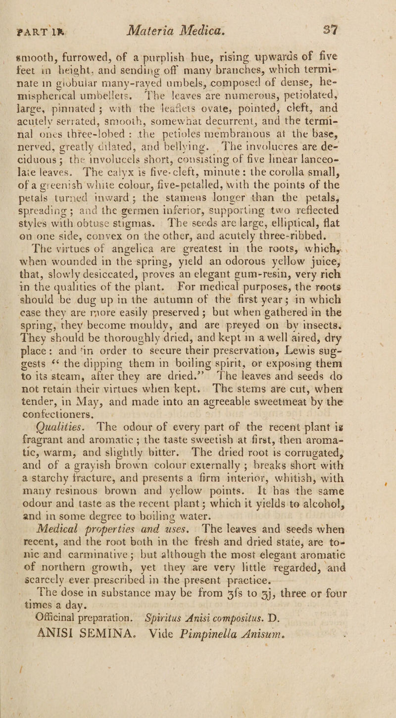 smooth, furrowed, of a purplish hue, rising upwards of five feet in height, and sending off many branches, which termi- nate in giobular many-rayed umbels, composed of dense, he- mispherical umbellets. The leaves are numerous, petiolated, large, pinnated ; with the leafiets ovate, pointed, cleft, and acutely serrated, smooth, somewhat decurrent, and the termi- nal ones three-lobed : the petioles membranous at the base, nerved, greatly cilated, and bellying. The involucres are de- ciduous; the involucels short, consisting of five linear lanceo- laie leaves. The calyx is five-cleft, minute: the corolla small, of a greenish white colour, five-petalled, with the points of the petals tarned inward; the stamens longer than the petals, spreading ; and the germen inferior, supporting two reflected styles with obtuse stigmas. The seeds are large, elliptical, flat on one side, convex on the other, and acutely three-ribbed. The virtues of angelica are greatest in the roots, whichy. when wounded in the spring, yield an odorous yellow juice, that, slowly desiccated, proves an elegant gum-resin, very rich in the qualities of the plant. For medical purposes, the reots case they are more easily preserved; but when gathered in the spring, they become mouldy, and are preyed on by insects. They should be thoroughly dried, and kept in a well aired, dry place: and ‘in order to secure their preservation, Lewis sug- gests * the dipping them in boiling spirit, or exposing them to its steam, after they are dried.”’ ‘The leaves and seeds do not retain their virtues when kept.. The stems are cut, when tender, in May, and made into an agreeable sweetmeat by the confectioners, Qualities. The odour of every part of the recent plant is fragrant and aromatic ; the taste sweetish at first, then aroma- tic, warm, and slightly bitter. The dried root is corrugated, a starchy fracture, and presents a firm interior, whitish, with many resinous brown and yellow points. It has the same odour and taste as the recent plant; which it yields te alcohol, and in some degree to boiling water. Medical properties and uses. The leaves and seeds when. recent, and the root both in the fresh and dried state, are to- nic and carminative; but although the most elegant aromatic scarcely ever prescribed in the present practice. The dose in substance may be from 3{s to 3j, three or four times a day. Officinal preparation. Spiritus Anisi compositus. D. ANISI SEMINA. Vide Pimpinella Anisum.