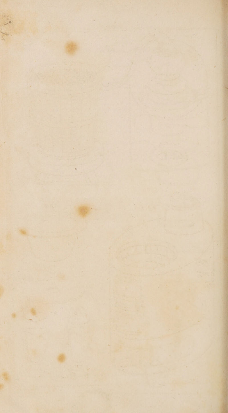 : 7 + 7 - : ‘ / r x r _ = e , 7 Fe J a4 ~ * os - a 2 os | 5 ; J x t re r &amp; r F ‘ i + . = in { , ec . t - , byt 7 \ 7 rs Z * td x. &amp; * et a wi . 3 * - J e * : 4 j _ i 5 * * a . = 4 m7. . - ad %