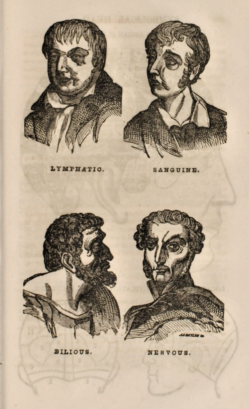 lymphatic. SANGUINE. BILIOUS. NERVOUS.