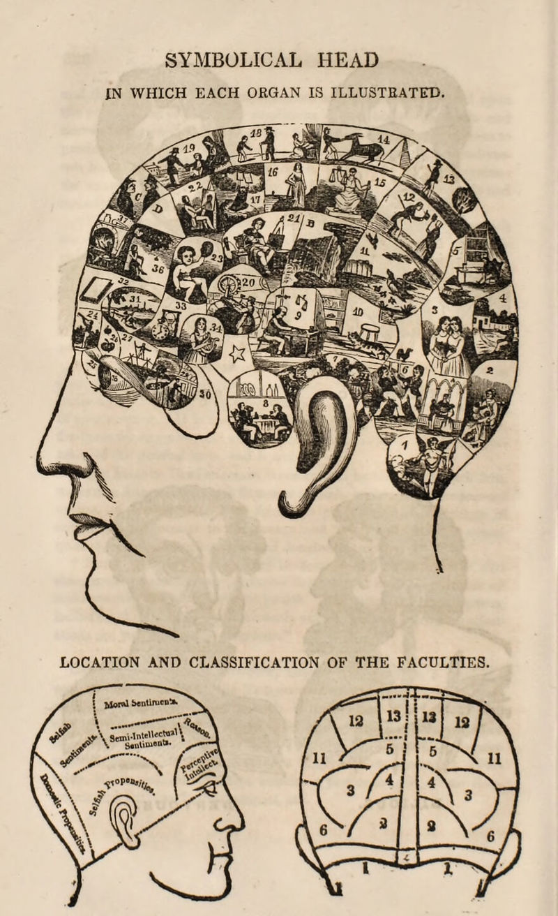 SYMBOLICAL HEAD IN WHICH EACH ORGAN IS ILLUSTRATED. LOCATION AND CLASSIFICATION OF THE FACULTIES.