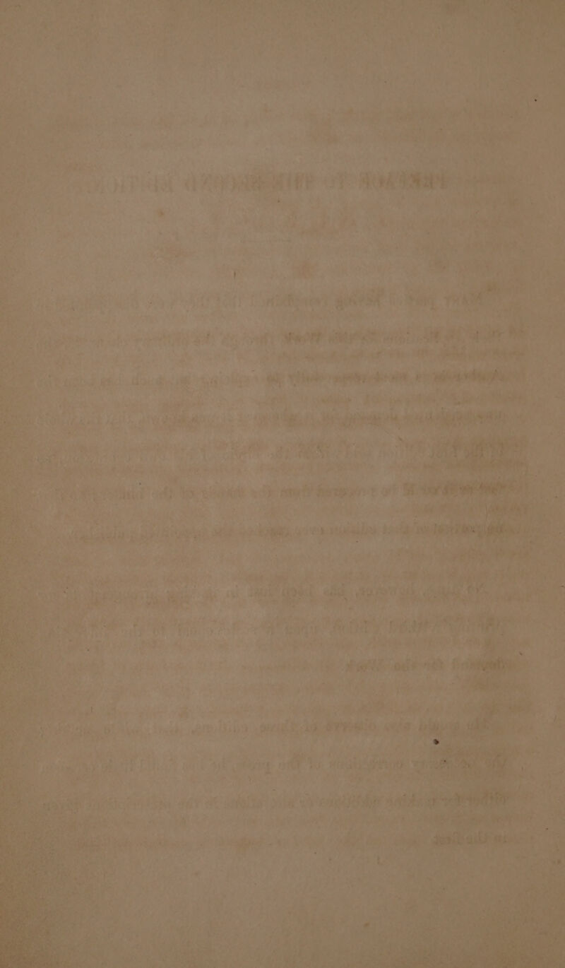 -e Aba star a ; i. a aye a Where wo ‘it Site fk & La Adee Pr. ces th ‘ re ie CR 7 beret De te oP tat ’ 7” ‘Faas ce at ee ou bs ¢ S y cf) PY oar re Ete oF Ser Ty Mer Mea TB o3 ; PW oe) Pg t es . ee a th ; < Sie A é ee eS ce eee Oe ets oak _ preg BEE ay Pe seit wate. t . ctaetaa iy Ree! ee is aati Pag e erry be Se a Piha 2 Ones is } ried fi