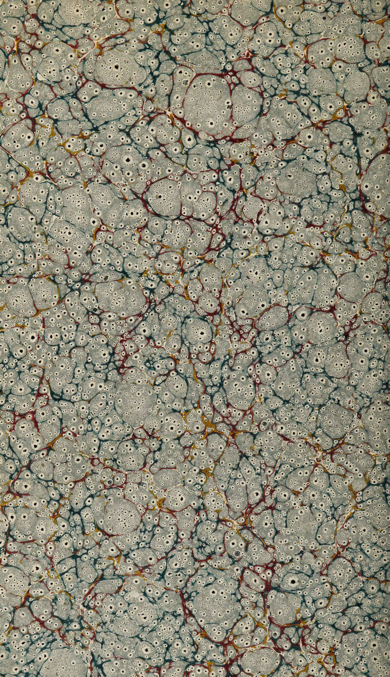 No text description is available for this image