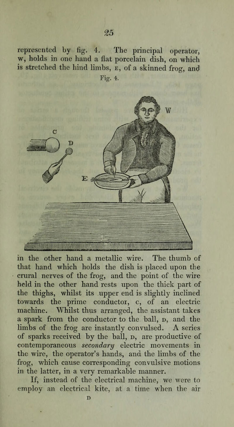 represented by fig. 4. The principal operator, w, holds in one hand a flat porcelain dish, on which is stretched the hind limbs, e, of a skinned frog, and Fig. 4. in the other hand a metallic wire. The thumb of that hand which holds the dish is placed upon the crural nerves of the frog, and the point of the wire held in the other hand rests upon the thick part of the thighs, whilst its upper end is slightly inclined towards the prime conductor, c, of an electric machine. Whilst thus arranged, the assistant takes a spark from the conductor to the ball, d, and the limbs of the frog are instantly convulsed. A series of sparks received by the ball, d, are productive of contemporaneous secondary electric movements in the wire, the operator’s hands, and the limbs of the frog, which cause corresponding convulsive motions in the latter, in a very remarkable manner. If, instead of the electrical machine, we were to employ an electrical kite, at a time when the air D