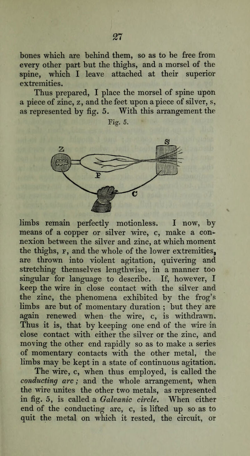 bones which are behind them, so as to be free from every other part but the thighs, and a morsel of the spine, which I leave attached at their superior extremities. Thus prepared, I place the morsel of spine upon a piece of zinc, z, and the feet upon apiece of silver, s, as represented by fig. 5. With this arrangement the Fie:. 5. limbs remain perfectly motionless. I now, by means of a copper or silver wire, c, make a con¬ nexion between the silver and zinc, at which moment the thighs, f, and the whole of the lower extremities, are thrown into violent agitation, quivering and stretching themselves lengthwise, in a manner too singular for language to describe. If, however, I keep the wire in close contact with the silver and the zinc, the phenomena exhibited by the frog’s limbs are but of momentary duration ; but they are again renewed when the wire, c, is withdrawn. Thus it is, that by keeping one end of the ware in close contact with either the silver or the zinc, and moving the other end rapidly so as to make a series of momentary contacts with the other metal, the limbs may be kept in a state of continuous agitation. The wire, c, when thus employed, is called the conducting arc; and the whole arrangement, when the wire unites the other two metals, as represented in fig. 5, is called a Galvanic circle. When either end of the conducting arc, c, is lifted up so as to quit the metal on which it rested, the circuit, or