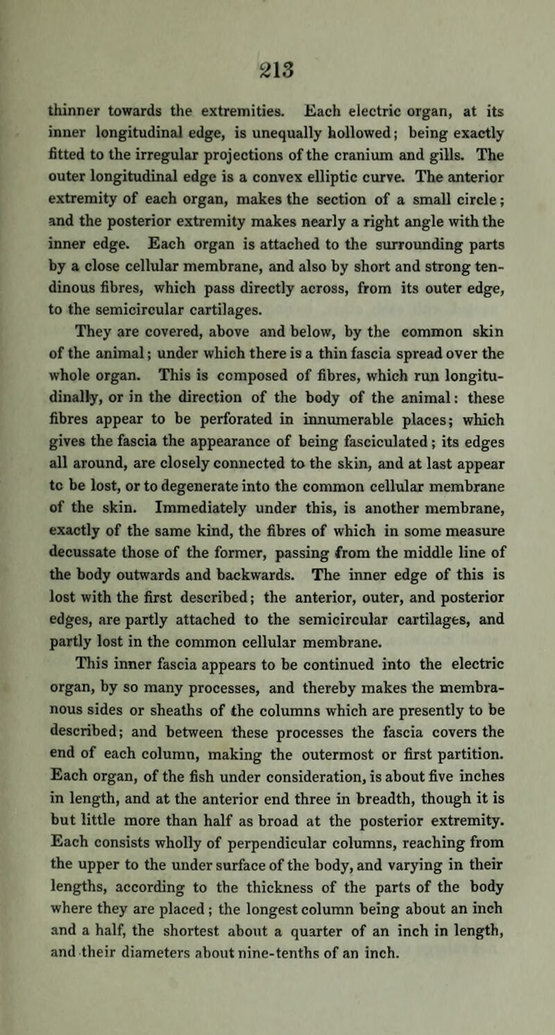 thinner towards the extremities. Each electric organ, at its inner longitudinal edge, is unequally hollowed; being exactly fitted to the irregular projections of the cranium and gills. The outer longitudinal edge is a convex elliptic curve. The anterior extremity of each organ, makes the section of a small circle; and the posterior extremity makes nearly a right angle with the inner edge. Each organ is attached to the surrounding parts by a close cellular membrane, and also by short and strong ten¬ dinous fibres, which pass directly across, from its outer edge, to the semicircular cartilages. They are covered, above and below, by the common skin of the animal; under which there is a thin fascia spread over the whole organ. This is composed of fibres, which run longitu¬ dinally, or in the direction of the body of the animal: these fibres appear to be perforated in innumerable places; which gives the fascia the appearance of being fasciculated ; its edges all around, are closely connected to the skin, and at last appear tc be lost, or to degenerate into the common cellular membrane of the skin. Immediately under this, is another membrane, exactly of the same kind, the fibres of which in some measure decussate those of the former, passing from the middle line of the body outwards and backwards. The inner edge of this is lost with the first described; the anterior, outer, and posterior edges, are partly attached to the semicircular cartilages, and partly lost in the common cellular membrane. This inner fascia appears to be continued into the electric organ, by so many processes, and thereby makes the membra¬ nous sides or sheaths of the columns which are presently to be described; and between these processes the fascia covers the end of each column, making the outermost or first partition. Each organ, of the fish under consideration, is about five inches in length, and at the anterior end three in breadth, though it is but little more than half as broad at the posterior extremity. Each consists wholly of perpendicular columns, reaching from the upper to the under surface of the body, and varying in their lengths, according to the thickness of the parts of the body where they are placed; the longest column being about an inch and a half, the shortest about a quarter of an inch in length, and their diameters about nine-tenths of an inch.