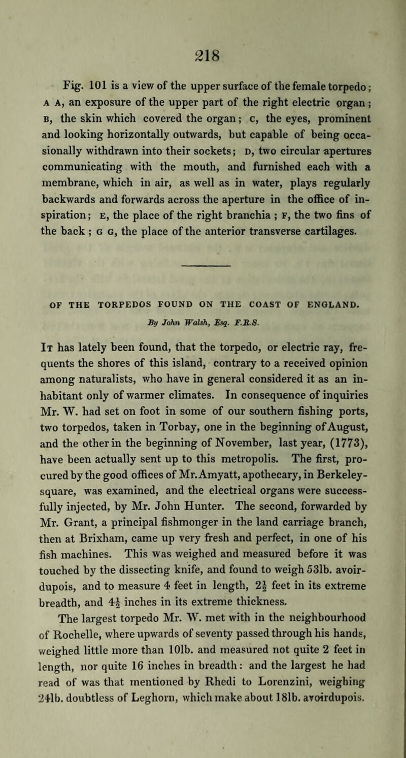 Fig. 101 is a view of the upper surface of the female torpedo; a a, an exposure of the upper part of the right electric organ ; b, the skin which covered the organ; c, the eyes, prominent and looking horizontally outwards, but capable of being occa¬ sionally withdrawn into their sockets; d, two circular apertures communicating with the mouth, and furnished each with a membrane, which in air, as well as in water, plays regularly backwards and forwards across the aperture in the office of in¬ spiration ; e, the place of the right branchia ; F, the two fins of the back ; g g, the place of the anterior transverse cartilages. OF THE TORPEDOS FOUND ON THE COAST OF ENGLAND. By John Walsh, Esq. F.R S. It has lately been found, that the torpedo, or electric ray, fre¬ quents the shores of this island, contrary to a received opinion among naturalists, who have in general considered it as an in¬ habitant only of warmer climates. In consequence of inquiries Mr. W. had set on foot in some of our southern fishing ports, two torpedos, taken in Torbay, one in the beginning of August, and the other in the beginning of November, last year, (1773), have been actually sent up to this metropolis. The first, pro¬ cured by the good offices of Mr. Amyatt, apothecary, in Berkeley - square, was examined, and the electrical organs were success¬ fully injected, by Mr. John Hunter. The second, forwarded by Mr. Grant, a principal fishmonger in the land carriage branch, then at Brixham, came up very fresh and perfect, in one of his fish machines. This was weighed and measured before it was touched by the dissecting knife, and found to weigh 531b. avoir¬ dupois, and to measure 4 feet in length, 21 feet in its extreme breadth, and 41 inches in its extreme thickness. The largest torpedo Mr. W. met with in the neighbourhood of Rochelle, where upwards of seventy passed through his hands, weighed little more than 101b. and measured not quite 2 feet in length, nor quite 16 inches in breadth: and the largest he had read of was that mentioned by Rhedi to Lorenzini, weighing 241b. doubtless of Leghorn, which make about 181b. avoirdupois.