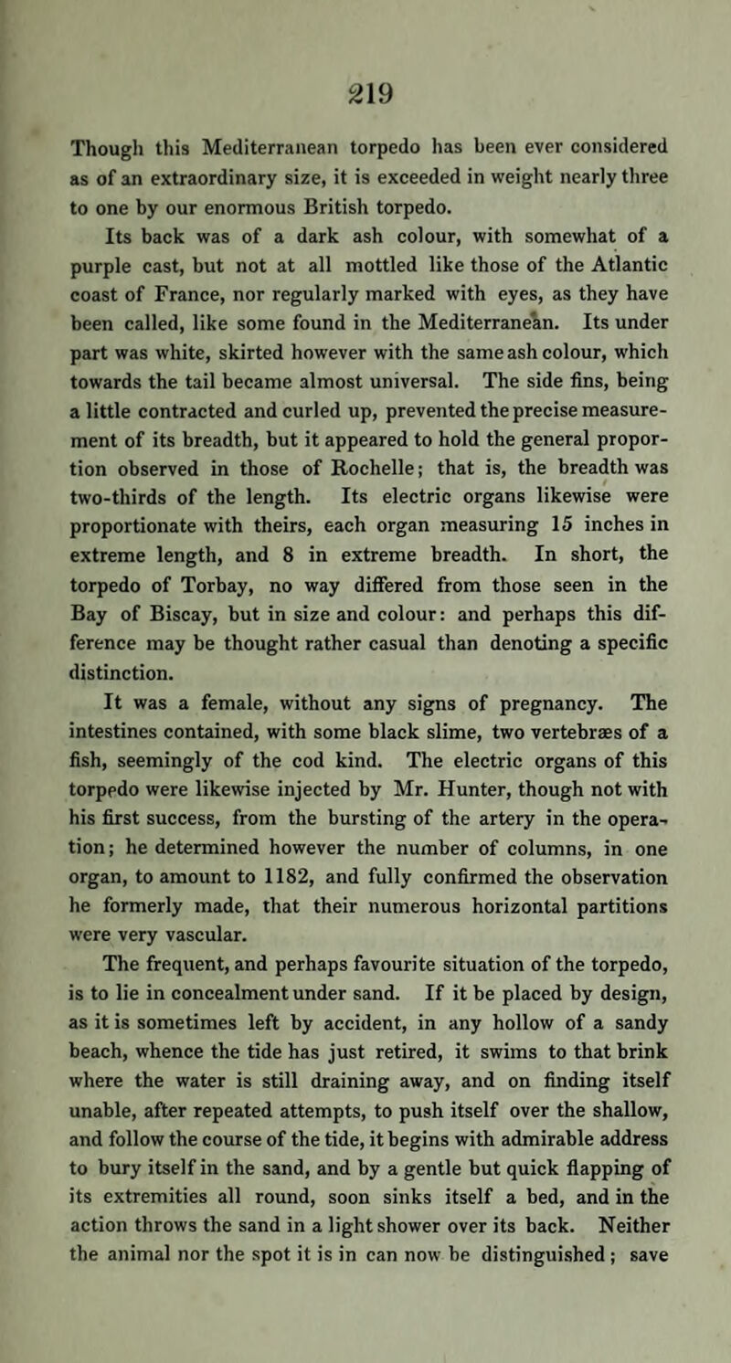 Though this Mediterranean torpedo has been ever considered as of an extraordinary size, it is exceeded in weight nearly three to one by our enormous British torpedo. Its back was of a dark ash colour, with somewhat of a purple cast, but not at all mottled like those of the Atlantic coast of France, nor regularly marked with eyes, as they have been called, like some found in the Mediterranean. Its under part was white, skirted however with the same ash colour, which towards the tail became almost universal. The side fins, being a little contracted and curled up, prevented the precise measure¬ ment of its breadth, but it appeared to hold the general propor¬ tion observed in those of Rochelle; that is, the breadth was two-thirds of the length. Its electric organs likewise were proportionate with theirs, each organ measuring 15 inches in extreme length, and 8 in extreme breadth. In short, the torpedo of Torbay, no way differed from those seen in the Bay of Biscay, but in size and colour: and perhaps this dif¬ ference may be thought rather casual than denoting a specific distinction. It was a female, without any signs of pregnancy. The intestines contained, with some black slime, two vertebraes of a fish, seemingly of the cod kind. The electric organs of this torpedo were likewise injected by Mr. Hunter, though not with his first success, from the bursting of the artery in the opera¬ tion; he determined however the number of columns, in one organ, to amount to 1182, and fully confirmed the observation he formerly made, that their numerous horizontal partitions were very vascular. The frequent, and perhaps favourite situation of the torpedo, is to lie in concealment under sand. If it be placed by design, as it is sometimes left by accident, in any hollow of a sandy beach, whence the tide has just retired, it swims to that brink where the water is still draining away, and on finding itself unable, after repeated attempts, to push itself over the shallow, and follow the course of the tide, it begins with admirable address to bury itself in the sand, and by a gentle but quick flapping of its extremities all round, soon sinks itself a bed, and in the action throws the sand in a light shower over its back. Neither the animal nor the spot it is in can now be distinguished ; save