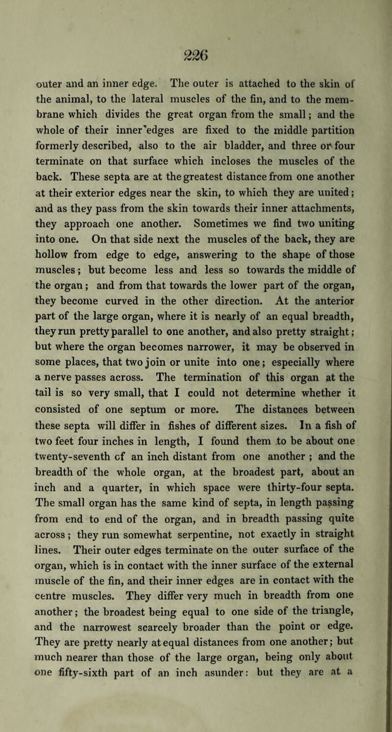 outer and an inner edge. The outer is attached to the skin of the animal, to the lateral muscles of the fin, and to the mem¬ brane which divides the great organ from the small; and the whole of their inner'edges are fixed to the middle partition formerly described, also to the air bladder, and three or four terminate on that surface which incloses the muscles of the back. These septa are at the greatest distance from one another at their exterior edges near the skin, to which they are united; and as they pass from the skin towards their inner attachments, they approach one another. Sometimes we find two uniting into one. On that side next the muscles of the back, they are hollow from edge to edge, answering to the shape of those muscles ; but become less and less so towards the middle of the organ; and from that towards the lower part of the organ, they become curved in the other direction. At the anterior part of the large organ, where it is nearly of an equal breadth, they run pretty parallel to one another, and also pretty straight; but where the organ becomes narrower, it may be observed in some places, that two join or unite into one; especially where a nerve passes across. The termination of this organ at the tail is so very small, that I could not determine whether it consisted of one septum or more. The distances between these septa will differ in fishes of different sizes. In a fish of two feet four inches in length, I found them to be about one twenty-seventh cf an inch distant from one another ; and the breadth of the whole organ, at the broadest part, about an inch and a quarter, in which space were thirty-four septa. The small organ has the same kind of septa, in length passing from end to end of the organ, and in breadth passing quite across ; they run somewhat serpentine, not exactly in straight lines. Their outer edges terminate on the outer surface of the organ, which is in contact with the inner surface of the external muscle of the fin, and their inner edges are in contact with the centre muscles. They differ very much in breadth from one another; the broadest being equal to one side of the triangle, and the narrowest scarcely broader than the point or edge. They are pretty nearly at equal distances from one another; but much nearer than those of the large organ, being only about one fifty-sixth part of an inch asunder; but they are at a