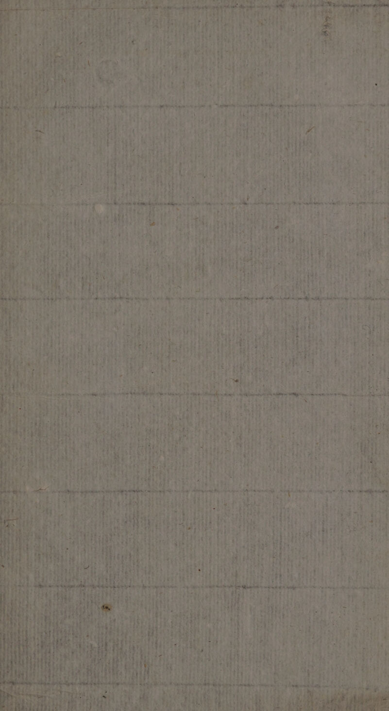 va « y, : 4e E Le > « Le ” «4 “- =“ RATE r&amp; #2 F  Cv: * Te 5 vpn D - di h- ar ÈS _ …. 2 * % ” * - A True + Ps » vas herbes Ge CA: EN (PE Cl ee ele “ - Du vên à me | a pé . « | o re - # OR, LE sr d 7%  £ . = ee + = sr E F % a F1 4 A e fé E r + À à be : : s Pt de us » 2e” Le OT EE: e. S 27 : = d- + DEN IEMR 19 , F. s vert, © .. … + De us « . « o 0 = . Te s b e i- re Li . ” + » orge \ es. , L < pa sn te, 3 D 'ie = Li un Le k “ Le nds C4 L 5 \ *e at MAS » ee c - Li À * æ ne = Ve “., Li à “+ k E ’ _. A 5 ” De - e. Eu pe L . e: | : L Ha LR ES € Sd AG: ; Frs - À ] 3 vent d = . c | mi : r r ra « æ . r a . » ant = : , + dt @ * AE ET : A vw e l à ENS ” è Er , x * Et f d Ame … L cr a « _ Ÿ È sn LS = … à Ds. dE 5 L ÿ ag e.« 4 Grade ve ml € Ed À L À? x SL es c de e CS 20 Kys . #4 s Seb: a ‘ F  4 E- 2 ? d Pa Er a  ze var ici# + DOC >. AR “ya L « >, - > à ARTS. LE + dt CE Dh: Visas » 1e _ « l CS d d 3 À N \] À hi 'ari.n re e 2 Le bond, TEE à 7 — À = x 3 - » s- < + pe La rt cc tus H PR NET — à «<- CE 3 7 Le + edf not TE Pate = “7 @- ot on 54 L4 Ah Se, …! pendre: ui nor À ls . ù EEE EEE ext à Re: : ie LA 4 myre RME ta nm ni ee “0 - ca S en + ee 4 v1S- =: * = F7 « ve LE « é âds * - an eee = + “ipimE DE he  de = es ty à F se £ ”. + L: 2 < À. LL cA ee “S A le v-? PAIE . he . Es Lcd vip sé *. s' pe ct “aphres À é “ . dt... or 4 E* CPE Le » à .* 4 ne ; APS Qu + = 52 p-. “RE SOPT jh 7 Es. CE | » à RS ES = = où DE Fr- er ” LR L ENT EL k ax RTS Ms dr Sins gere . 24 pe 1 À à Re,