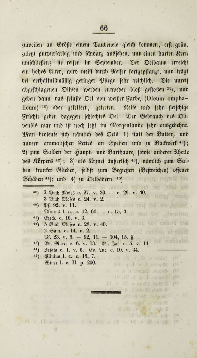 66 juweilen an ©roße einem Saubeneie gleid) fommett, erft grün, äulefct purpurfarbig unb fcfymarj au6fel)en, unb einen garten $ern umfd)ließen$ fie reifen im September. 2)er Delbaum erreicht ein f)d)e@ Filter, ttnrb meift bitrd) 9ietfer fortgepflan^t, unb trägt bei oerf)ältnif?mäfug geringer pflege fe^r retd)lid). 3)ic unreif abgefdjlageneit Dltoen merben entweber bloß gcftoßen 39), unb geben bann ba$ feinfte Del oon meiner garbe, (Oleum ompha- licum) 40) ober gefeltert, getreten. CReife nnb jefyr fleifd)ige grüßte geben bagegen fd)lcd)te3 Del. 3)er ©ebraud) bed Dlt* r>enöl3 mar unb ift nod) Je^t im sD?orgenlanbe fefjr au3gebel)nt. Man bebtente ftd) nämltd) beS Delö 1) ftatt ber 23utter, unb anbern animaltfd)en getteS an Speifett unb ju 23admerf 41); 2) jum Salben ber äpaupt* unb 23artf)aare, fomie anberer Steile beö Körpers 42) $ 3) al$ Slr^nei äufjerltd) 43}, nämltd) §um Sal* beit franfer ©lieber, felbft jum 53egießen (23eftreid)en) offener Stäben44); unb 4) ju Delbäbern. 45) 30) 2 33utf) SWofcö c. 27. v. 30. — c. 29. v. 40, 3 93uä) SOlofeö c. 24. v. 2. 40) ?ßf. 92. v. 11. $ßliniu$ 1. c. c. 12, 60. - c. 15, 3. 41) djcct). c. 16. v. 3. 42) 5 33uä) SDZcfcö c. 28. v. 40. 2 ©am. c. 14. v. 2. $f. 23. v. 5. - 92, 11. — 104, 15. ff. 43) dö. Sftarc. c. 6. v. 13. (§p. 3ac. c. 5. v. 14, 44) Sefaia c. 1. v. 6. (Sy. 2uc. c. 10. v. 34. 45) ^pitniuö 1. c. c. 15, 7.