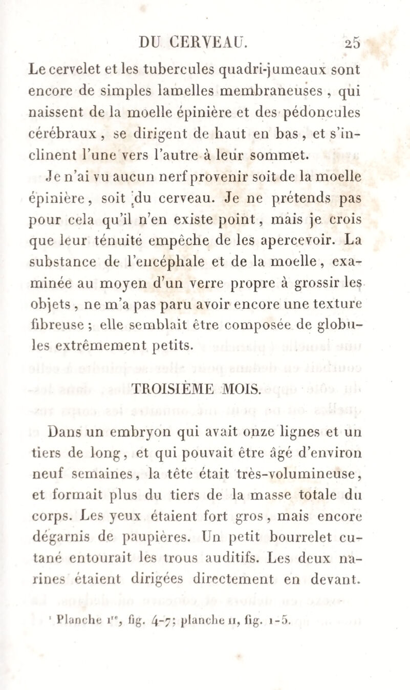 Le cervelet et les tubercules quadri-jumeaux sont encore de simples lamelles membraneuses , qui naissent de la moelle épinière et des pédoncules cérébraux , se dirigent de haut en bas, et s’in¬ clinent l’une vers l’autre à leur sommet. Je n’ai vu aucun nerf provenir soit de la moelle épinière, soit du cerveau. Je ne prétends pas pour cela qu’il n’en existe point, mais je crois que leur ténuité empêche de les apercevoir. La substance de l’encéphale et de la moelle, exa¬ minée au moyen d’un verre propre à grossir les objets , ne m’a pas paru avoir encore une texture fibreuse ; elle semblait être composée de globu¬ les extrêmement petits. TROISIÈME MOIS. Dans un embryon qui avait onze lignes et un tiers de long, et qui pouvait être âgé d’environ neuf semaines, la tête était très-volumineuse, et formait plus du tiers de la masse totale du corps. Les yeux étaient fort gros, mais encore dégarnis de paupières. Un petit bourrelet cu¬ tané entourait les trous auditifs. Les deux na¬ rines étaient dirigées directement en devant. Planche i'% fig. 47> planche 11, fig. i-5. I