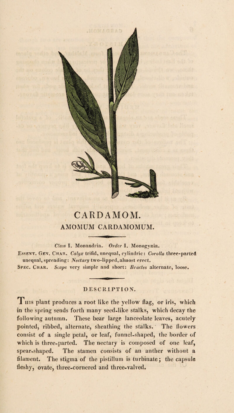 DOG ROSE. ROSA CANINA. Class XII. Icosandria. Order V. Polygynia. Essent. Gen. Char. As the last. Spec. Char. Germens ovate: Peduncles smooth : Stem and Petals aculeate. DESCRIPTION. The leaves are pinnate, composed of one, two, or three pairs of pinnae, with an odd one at the end. The flowers are large and terminal, two or three together. The corolla is composed of five heart-shaped petals. The fruit is an oval, fleshy berry. HISTORY. Native of Britain, and gives a beautiful appearance to the hedges in the month of June. MEDICAL VIRTUE. A conserve of hips is made from this, which is more agreeable than that of the red rose, and is used for the same purpose.