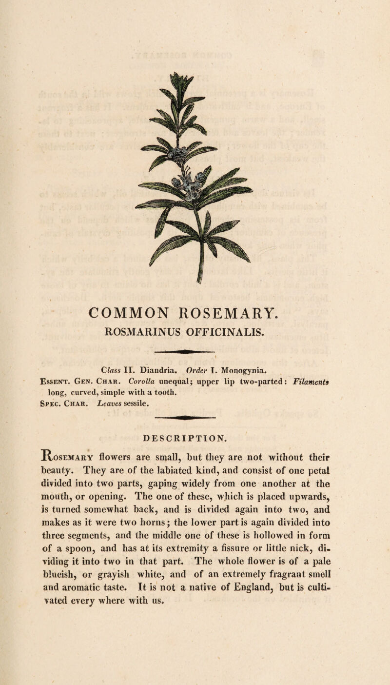 LOGWOOD. H^EMATOXYLUM campechianum. Class X. Decandria. Order I. Monogynia. Essent. Gen. Char. Calyx five-parted : Petals five : Capsule lanceolate, one-celled, two-valved : Valves navicular. v DESCRIPTION. This rises to a moderate sized tree. Its branches are defended with sharp spines. The leaves are pinnated, composed of four or five pair of pinnae, heart-shaped, and obliquely veined. The flowers are yellow, small, and numerous. III STO RY. This tree was introduced from the Honduras into Jamaica, where it is now very common. The wood is firm, heavy, and of a dark red colour. Its taste is sweet, with a slight degree of astringency. It. forms a precipitate with solution of gelatine, very readily soluble in excess of gelatine, and with sulphate of iron it strikes a brighter blue than any other astringent I have tried. It is used principally as a dye-wood, but also with con¬ siderable advantage in medicine. MEDICAL USE. Its extract is sweet, and slightly astringent; and is therefore useful in obstinate diarrhoeas, and in chronic dysentery. Of the extract one to two scruples is given four times a day.