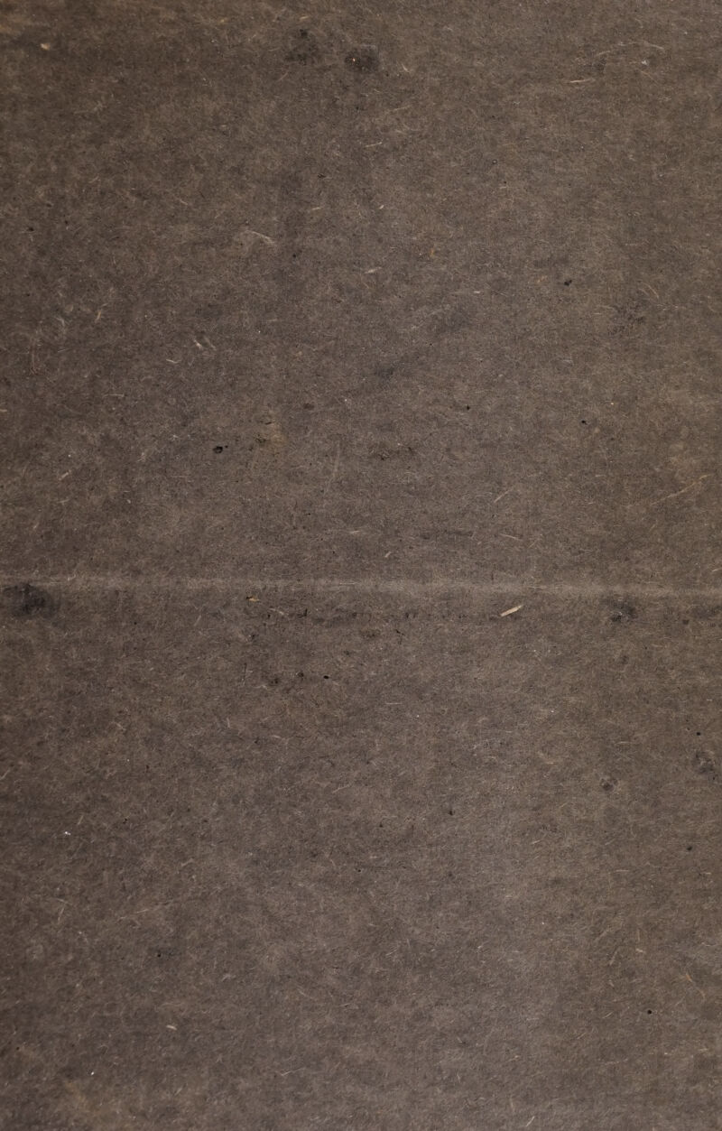 DEL CELEBRE PROFESSORE DI MEDICINA GIUS. ATsfT. TESTA FERRARESE