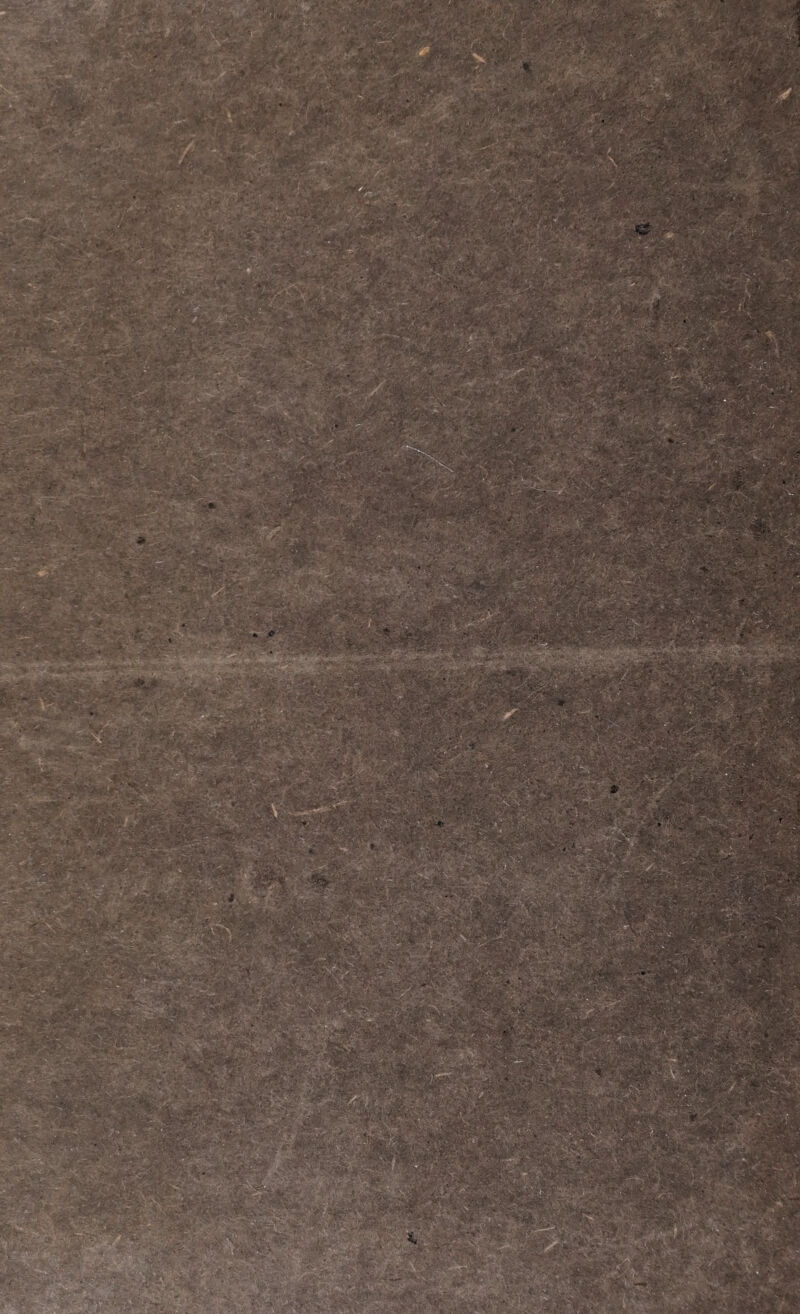 bianze, perdute per sempre, sot¬ tentrò il lungo vegetare di pian¬ te perenni. Ma la riconoscenza, il rispetto, la venerazione si ac¬ compagnarono a poco a poco ai primi movimenti della compassio¬ ne e dell' amore ; moltiplicarono le voci, che chiamano V uomo che sente alla tomba de' con¬ giunti , e degli amici, sacre ne resero per diversi rispetti le ce¬ neri e la memoria: ed alle cal- é de lagrime dell affetto quelle si mescolarono non meno dolci del¬ la venerazione, e della gratitudi¬ ne. Crebbe intanto a più alto se¬ gno il rispetto verso gli estinti» Dalle domestiche virtù, per che furono cari ad una famiglia, si distinsero quelle, che utili fi ren-