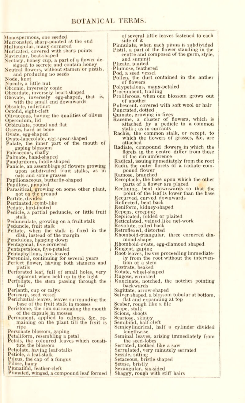 Monos pernio us, one seeded Mucronated, sharp-pointed at the end Multangular, many-cornered Muricated, covered with sharp points Navicular, boat-shaped Nectary, honey cup, a part ot a flowei de- signed to secrete and contain honey Neutral flowers, without stamen or pistils. and producing no seeds Node, knot Nucule, a little nut Obconic, inversely conic Obcordate, inversely heart-shaped Obovate, inversely egg-shaped, that is, with the small end downwards Obsolete, indistinct Octofid, eight-cleft ! Olivaceous, having the qualities of olives ! Operculum, lid ' Orbiculate, round and flat i Osseus, hard as bone I Ovate, egg-shaped Ovate-lanceolate, egg-spear-shaped 1 Palate, the inner part of the mouth of gapiug blossoms | Paleaceous, chatty i Palmate, hand-shaped Panduriform, fiddle-shaped ! Panicle, an assemblage of flowers growing upon subdivided fruit stalks, as in 1 oats and some grasses Papilionaceous, butterfly-shaped | Papillose, pimpled i Parasitical, growing on some other plant, not on the ground Partite, divided Pectinated, comb-like Pedate, bird-footed Pedicle, a partial peduncle, or little fruit stalk Pedunculate, growing on a fruit stalk Peduncle, fruit stalk Peltate, when the stalk is fixed in the disk, instead of the margin Pendulous, hanging down Pentagonal, five-cornered Pentapetalous, five-petaled Pentaphyllous, five-leaved Perennial, continuing for several years Perfect flower, having both stamens and pistils : Perforated leaf, full of small holes, very apparent when held up to the light 1 Perfoliate, the stem passing through the leaf Perianth, cup or calyx Pericarp, seed vessel Perichaetial-leaves, leaves surrounding the base of the fruit stalk in mosses Peristome, the rim surrounding the mouth of the capsule in mosses i Permanent, applied to calyxes, &c. re- maining on the plant till the fruit is ! ripe ■ Personate blossom, gaping Petaliform, resembling a petal Petals, the coloured leaves which consti- tute the blossom Petiolate, having leaf stalks Petiole, a leaf stalk Pileus, the cap of a fungus Pilose, hairy Pinnatifid, feather-cleft Pinnated, winged, a compound leaf formed ot several little leaves fastened to eacli j side of it Pinnulate, when each pinna is subdivided Pistil, a part of the flower standing in the centre and composed of the germ, style, and summit Plicate, plaited Plumose, leathered Pod, a seed vessel Pollen, the dust contained in the anther of flowers Polypetalous, many-petaled Procumbent, trailing Proliferous, when one blossom grows out of another Pubescent, covered with soft wool or hair I Punctated, dotted Quinate, growing in fives Raceme, a cluster of flowers, which is attached by a pedicle to a common stalk ; as in currauts Rachis, the common stalk, or recept. to which the flowers of grasses, &c. are attached Radiate, compound flowers in which the florets in the centre differ from those of the circumference Radical, issuing immediately from the root Radii, the outer florets of a radiate com- pound flower Ramose, branched Receptacle, the base upon which the other parts of a flower are placed Reclining, bent downwards so that the point of the leaf is lower than the base , Recurved, curved downwards Reflected, bent back Reniform, kidney-shaped Repens, creeping Replicated, folded or plaited Reticulated, veined like net-work Revolute, rolled back Retroflexed, distorted Rhomboid-triangular, three cornered dia- mond-shape Rhomboid-ovate, egg-diamond shaped Ringent, gaping Root-leaves, leaves proceeding immediate- ly from the root without the interven- tion of a stem i Rostrate, beaked ! Rotate, wheel-shaped I Rugose, wrinkled i Runcinate, notched, the notches pointing I backwards Sagittate, arrow-shaped Salver shaped, a blossom tubular at bottom, | flat and expanding at top I Scaber, rough like a file Scape, stalk Scions, shoots Scariose, skinny Semibifid, half-cleft Semicylindrical, half a cylinder divided lengthwise I Seminal leaves, arising immediately from I the seed-lobes i Serrated, toothed like a saw Serrulated, very minutely serrated Sessile, sitting Setaceous, bristle-shaped Setose, bristly Sexangular, six-sided Shaggy, rough with stiff hairs