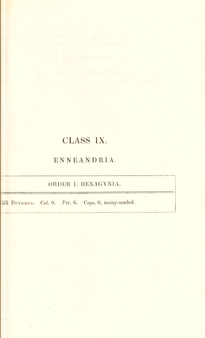 CLASS IX. ENNEANDRI A. ORDER I. HEXAGYN1A.