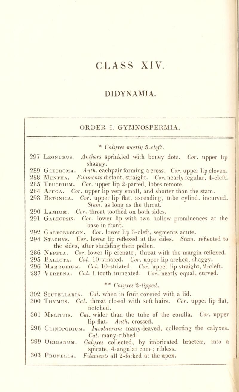 CLASS XIV. DIDYNAMIA. ORDER 1. GYMNOSPERMIA. * Calyxes mostly 5-cleft. 297 Leonurus. Anthers sprinkled with boney dots. Cor. upper lip shaggy. 289 Glechoma. Anth. eachpair forming across. Cor. upper lip cloven. 288 Mentha. Filaments distant, straight. Cor. nearly regular, 4-cleft. 285 Teucrium. Cor. upper lip 2-parted, lobes remote. 284 Ajuga. Cor. upper lip very small, and shorter than the stam. 293 Betonica. Cor. upper lip fiat, ascending, tube cylind. incurved. I Stam. as long as the throat. 290 Lamium. Cor. throat toothed on both sides. 291 Galeopsis. Cor. lower lip with two hollow prominences at the base in front. 292 Galeobdolon. Cor. lower lip 3-cleft, segments acute. 294 Stachys. Cor. lower lip reflexed at the sides. Stam. reflected to the sides, after shedding their pollen. 286 Nepf.ta. Cor. lower lip crenate, throat with the margin reflexed. 295 Ballota. Cal. 10-striated. Cor. upper lip arched, shaggy. 296 Marrubium. Cal. 10-striated. Cor. upper lip straight, 2-cleft. 287 Verbena. Cal. 1 tooth truncated. Cor. nearly equal, curved. ** Calyxes 2-lipped. 302 Scutellaria. Cal. when in fruit covered with a lid. 300 Thymus. Cal. throat closed with soft hairs. Cor. upper lip flat, notched. 301 Melittis. Cal. wider than the tube of the corolla. Cor. upper lip flat. Anth. crossed. 298 Clinopodium. Involncrum many-leaved, collecting the calyxes. Cal. many-ribbed. 299 Origanum. Calyxes collected, by imbricated bracteas into a spicate, 4-angular cone ; ribless. 303 Prunella. Filaments all 2-forked at the apex.