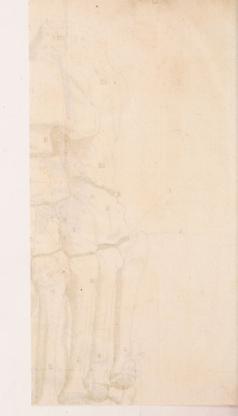 ! . - y 's S. V « V : • i r !b ‘ V;. -1 ' . ■■ m -, . > ? ■ ! y- ?1 ■ ; ; ! »> «. - 4 .V . , , , ■ » r • - - ■ ■ . > - . ■ ?■ 4-r ' : ■ ’OV. ■ ‘i