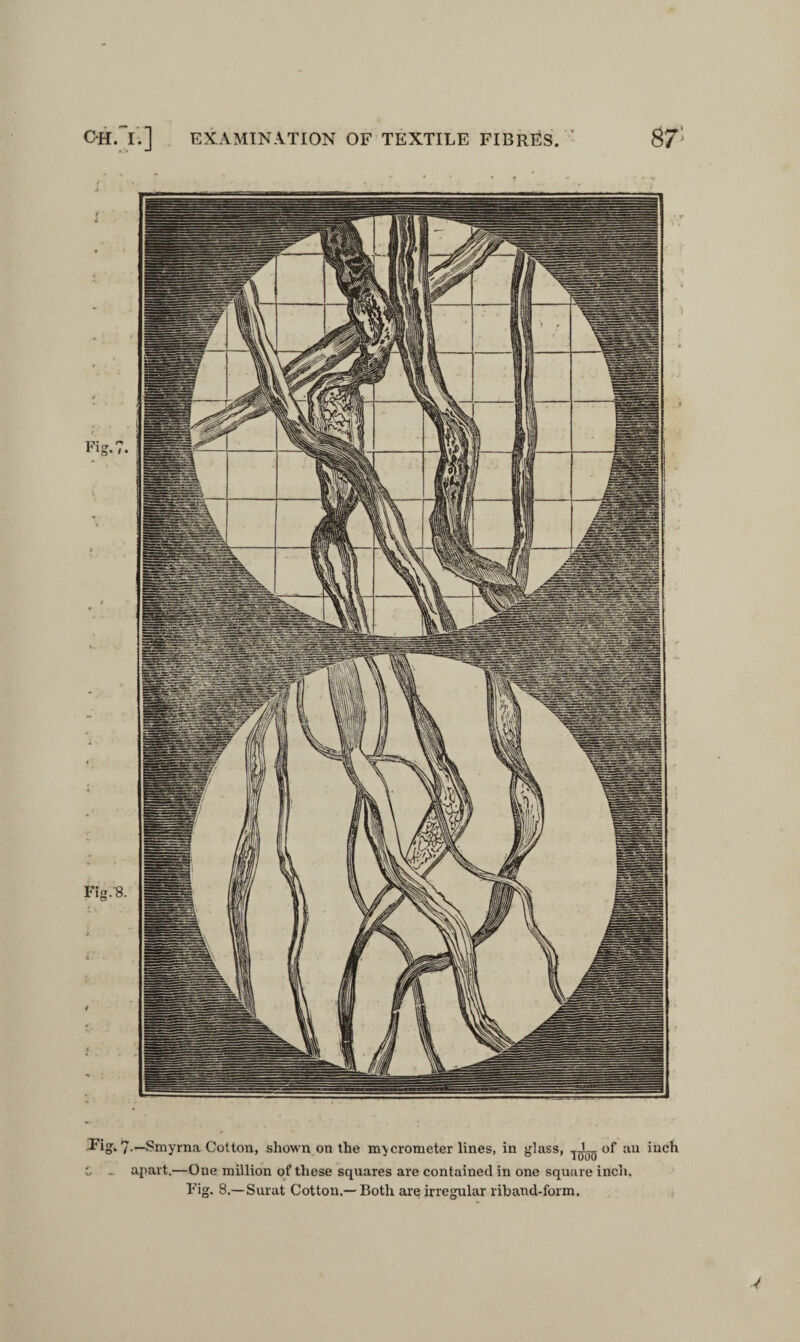 87: Tig, 7-—Smyrna Cotton, shown on the micrometer lines, in glass, of an inch C - apart.—One million of these squares are contained in one square inch. Fig. 8.—Surat Cotton.—Both are irregular riband-form.