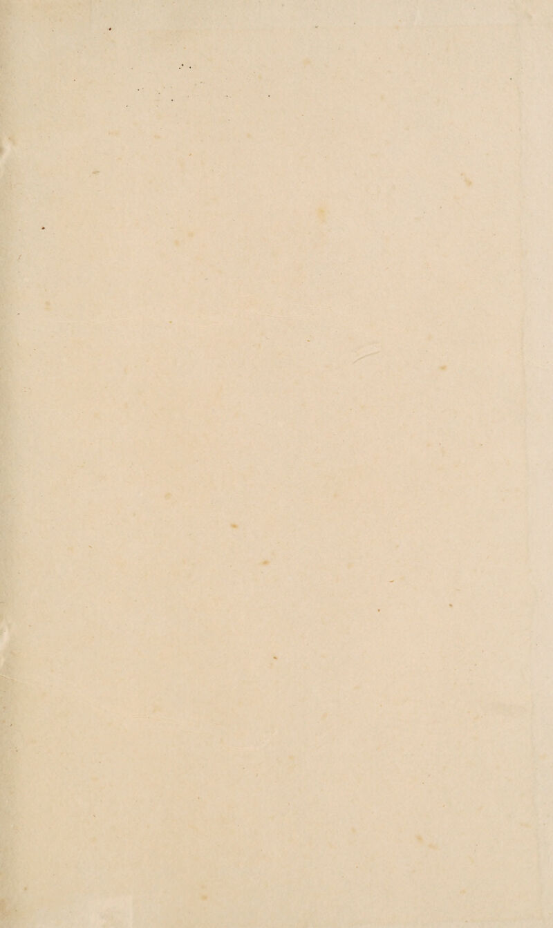 . * ■ * ' # f 7 B* ■ - ’T jp ■s , »^ »■ * i 0 \ 'I':: \ {\ \ • ■ ••r V . s -f >; * > y ‘V f' ii • * •■ 7y^«-' r '^- V 1