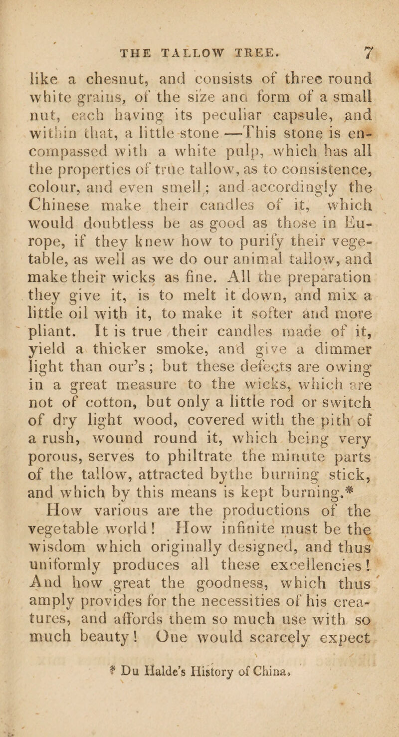 THE DATURA. 122 a semi-oval form, with their margins furnished with stiff hairs, like eye-brows, which em¬ brace or lock in each other when they close: this they do when they are inwardly irritated. The upper surfaces of these lobes are covered with small red glands, each of which appears, when highly magnified, like a compressed ar¬ butus berry. Among the glands, about the middle of each lobe, are three very small erect spines. When the lobes enclose any substance, they never open again while it continues there, if it can be shoved out, so as not to strain the lobes, they expand again ; but if force is used to open them, so strong has nature formed the spring of their fibres, that one of the lobes will generally snap off, rather than yield. The stalk is about six inches high, round, smooth, and without leaves, ending in a spike of flowers. The flowers are milk-white, and stand on foot¬ stalks, at the bottom of which is a little painted bractea, or flower-leaf. The Datura, or Highwayman's Plant. Among the many remarkable plants grow¬ ing in Egypt, is a kind of night-shade, named Datura, or Tatura, by the common people, which shoots into the ground with a long, thick, and brushy root, of a very unpleasing favour. The stalk being slender, broad, and round, grows to the height of four or five