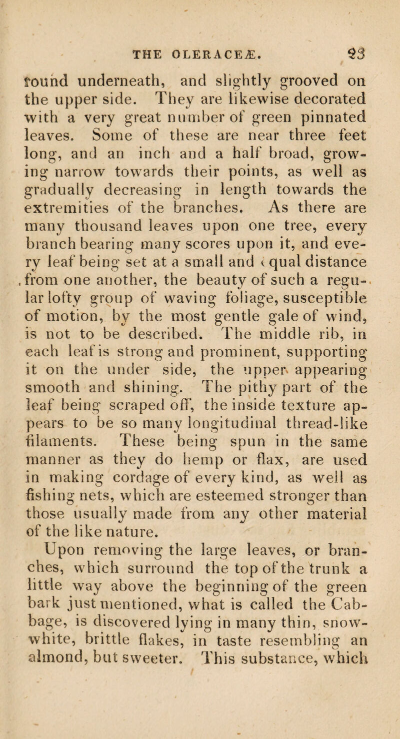 64 THE CARYOPHYLLUS, Those, which are called mother-cloves, are in¬ ferior to the common sort; but are preserved in sugar by the Dutch ; and, in long voyages, eat after their meals, to promote digestion. The clove, to be in perfection, must be full sized, heavy, oily, and easily broken ; of a fine smell, and of a hot aromatic taste, so as almost to burn the throat. It should make the fingers smart, when handled, and leave an oily moisture upon them, when pressed. In the East Indies, and in some parts of Europe, it is so much admired, as to be thought an indispensable ingredient in almost every dish. It is put intc their food, liquors, wines, and enters likewise the composition of their per¬ fumes. Considered as medicines, cloves are very hot, stimulating aromatics: and possess, in an eminent degree, the general virtues of substances of this class. Their pungency resides in their resin ; or rather in a combina¬ tion of resin with essential oil : for the spi- ritous extract is very pungent ; but if the oil and resin contained in this extract are sepa¬ rated from each other by distillation, the oil 'will be very mild, and any pungency which It does retain, proceeds from some small por¬ tion of adhering resin, and the remaining resin will be insipid. No plant, or part of any plant, contains such a quantity of oil as cloves do. From sixteen ounces Newman obtained by distillation, two ounces and twro drams ; and Hoffman obtained an ounce and a half of oil from two ounces of the spice. The oil is