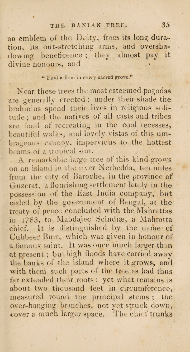170 THE SCOTCH FIR TREE. I / The Scotch Fir Tree. This tree is so called from its being a native of different parts of Scotland. It flourishes best in a poor sandy soil. In groves the trunk becomes tall and naked; in open situa¬ tions, branched ; on rocks and bogs it seldom grows to a large size ; in black soil it becomes diseased; and in chalky land it dies. Some¬ times it will thrive near running, but never stagnant, waters. The roots spread near the surface of the earth, except the central root, which grows perpendicularly downwards ; and if this be broken off, or interrupted in its pas¬ sage by rocks, the stem ceases to shoot up¬ wards, and the tree ever remains a dwarf. This tree furnishes us with the best red, or yellow deal. Its bark will tan leather. The northern nations make bread of this tree, in the following manner. They chuse a tree whose trunk is even, (for these contain the least rosin,) and strip off the bark in the spring, when it peels most easily. This they first dry gently in the shade, then in greater beat, and reduce it to powder : with this powder they mix a small quantity of meal, and with water knead it into bread. This they eat in common. The young fruit dis¬ tilled, affords a fragrant essential oil.