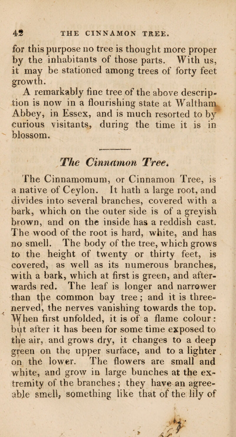 Digitized by the Internet Archive in 2018 with funding from Wellcome Library https://archive.-org/details/b29289191