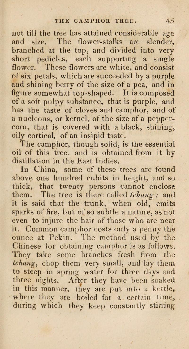 A DROPPING TREE. £ salary. He every day distributes to each family of the district, seven pots or vessels full of water, besides what he gives to the principal people in the island.” Glas's History of the Canary Islands. Tree y ielding Water, in America. In Cockburn’s Voyages we find the fol¬ lowing account of a dropping tree, near the mountains of Vera Paz, in America. On the morning of the fourth day we came out on a large plain, where were num¬ bers of fine deer, and in the middle stood a tree of an unusual size, spreading its branches over a vast compass of ground. Giiriosity led us up to it; we had perceived, at some distance off, the ground about it to be wet, at which we began, to be somewhat surprised, as well knowing there had no rain fallen for near six months past, according to the certain course of the season in that latitude : that it was impossible to be occasioned by the fall of dew on the tree, we were convinced, by the sun’s having power to exhale all moisture of that nature a few minutes after its rising* At last, to our great amazement, as well as joy, we saw water dropping, or, as it were, distilling fast from the end of every leaf of this wonderful, (or had it been amiss, if 1 had said miraculous) free ; at least it was so with respect to us, who had been labonring four: B 2.