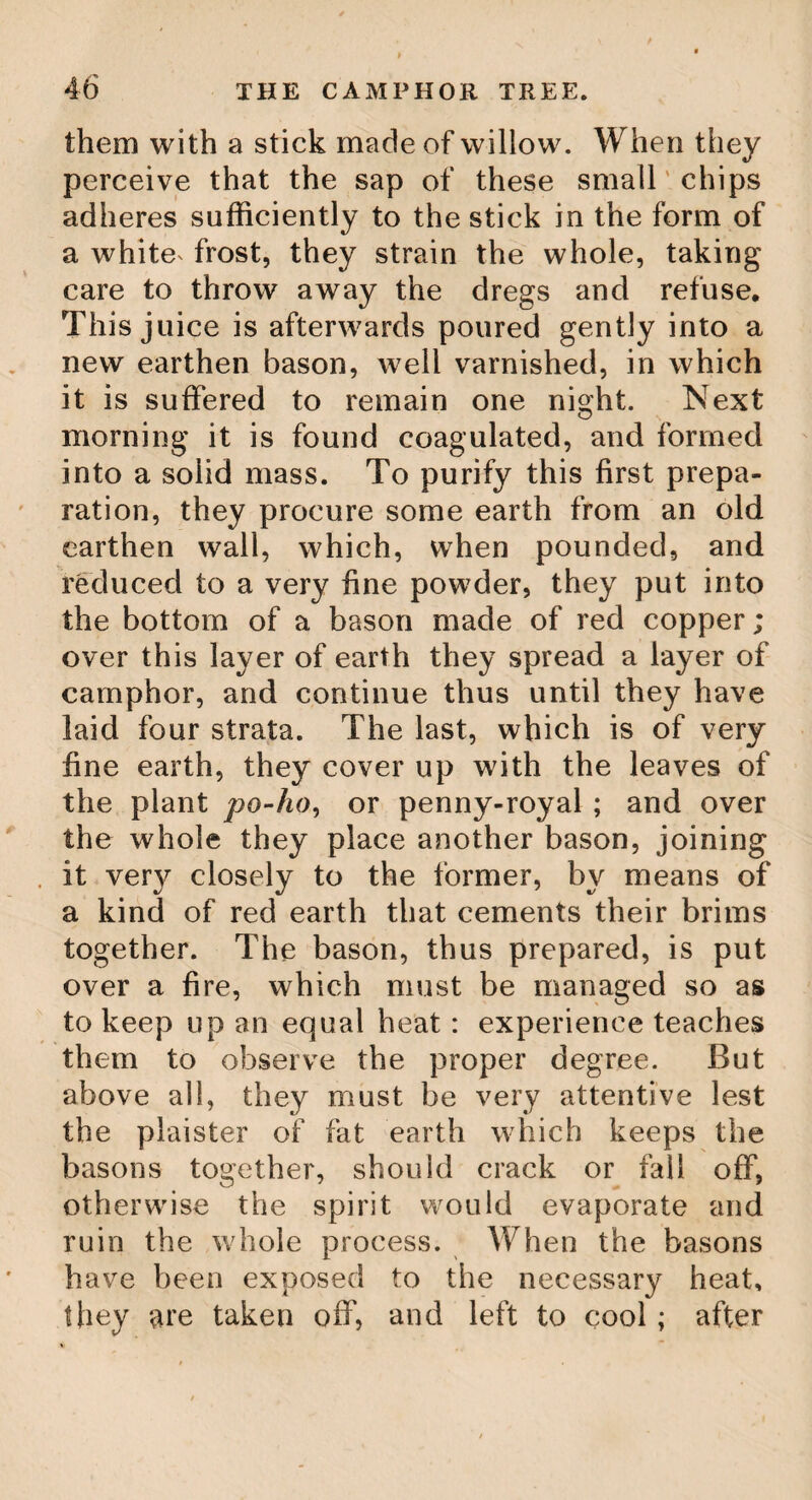 The Oleracece, or Cabbage Palm Tree, This is the most beautiful, and, perhaps, the tallest, of all trees. It is a native of India. The trunk is perfectly straight, and marked with rings at the vestigiae of the footstalks of the leaves. Near the ground it is about seven feet in circumference, but tapers as it ascends, and attains the height of one hundred and seventy, or two hundred feet. The bark is of an ash colour till with¬ in twenty-five or thirty feet of the extre¬ mity of the tree; when it alters at once to a deep sea green, which continues to the top. About five feet from the beginning of the green part upwards, the trunk is sur¬ rounded with its numerous branches in a circular manner, all the lowermost spreading horizontally with great regularity; and the extremities of many of the higher branches bend wavingly downwards, like so many plumes of feathers. These branches, when full grown, are twenty feet long, more or less, and are thickly set on the trunk alternately, rising gradually superior one to another. Their broad curved sockets so surround the trunk, that the sight of it, whilst amongst these, is lost, which appears again among the very uppermost branches, and is there enveloped in an upright green conic spire, which beautifully terminates its great height. The abovementioned branches are somewhat