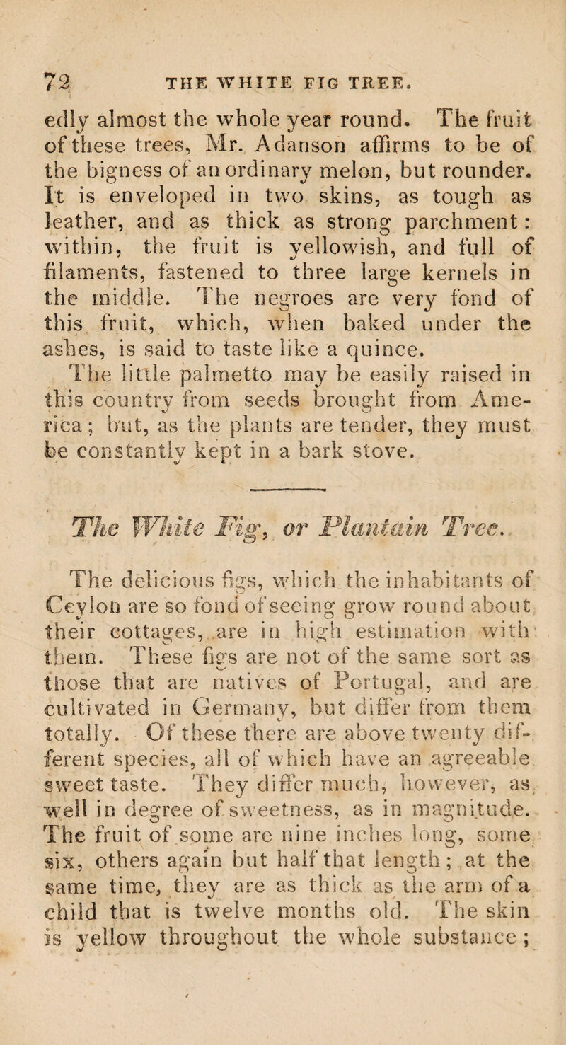 THE RHUS YERNIX. 53 blance to cinnamon, and resembles it more in its aromatic flavour than in its external appearance, and is very frequently substituted for the more expensive article cinnamon. The Rhus Vcrnix, or Poison Ash. The Poison Ash grows naturally in Virgi¬ nia, Penns}dvania, Carolina, and Japan, rising with a strong woody stalk to the height of twenty feet and upwards ; though in this country it is seldom seen above twelve, by reason of the plant's being extremely tender. The bark is brown, inclining to grey ; the branches are garnished with winged leaves, composed of three or four pair of lobes, terminated by an odd one. The lobes vary greatly in their shape, but for the most part they are oval and spear-shaped. The foot¬ stalks become of a bright purple towards the latter part of summer, and, in au¬ tumn, all the leaves are of a beautiful purple before they fall off. Professor Kalm says, “ an incision being made into the tree, a whitish yellow juice, which has a nauseous smell, comes out between the bark and the wood. This tree is not known for its good qualities, but greatly so for the effect of its poison ; which, though it is noxious to some people, yet does not in the least affect others; and, therefore, one person can handle the tree as he pleases, cut it, peel off its