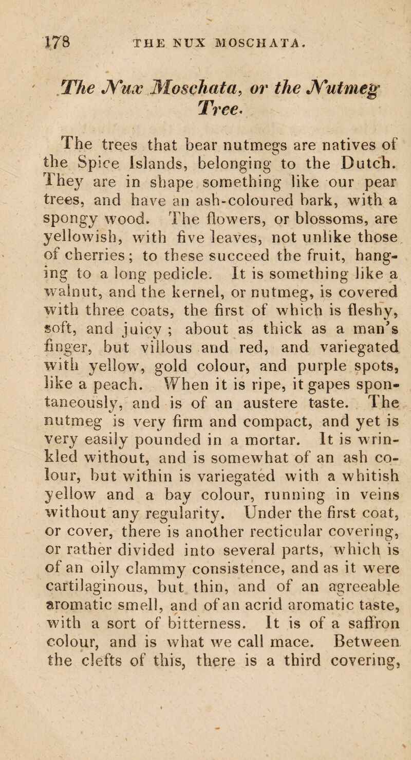 THE JAKE. 74< wherewith Eve tempted Adam,; and of whose leaves they afterwards made aprons, for which purpose, as we have seen, they were ex¬ tremely proper. All parts of this tree are useful: good and pleasant wine is made of its fruit, and its leaves are put to various uses. There is a real or imaginary sign of the cross in the fruit; for which reason the Spaniards and Portuguese, will not suffer it to be cut with a knife, but eat it with their teeth. The Jake, or Soar Sack (Sauer Sack.J The Jake Tree, or Sauer Sack, is chiefly found in the island and gardens of Ceylon. The fruit grows on a tolerably large tree, to the thickness of a stout lusty man, hanging on it like a well stuffed sack. It is green, with a cartilaginous rind ; on the inside yel¬ low, and divided into a number of partitions ; and in each of which there is a kernel, in colour and taste perfectly resembling the chesnut. The fruit itself is agreeably sweet, and grows to the size of a large water-bucket, weighing, perhaps, twenty pounds. The Dutch have given it the name of sour sack, to signify, that on account of its great size, it must be sour sauce for the tree to bear the weight of it. i