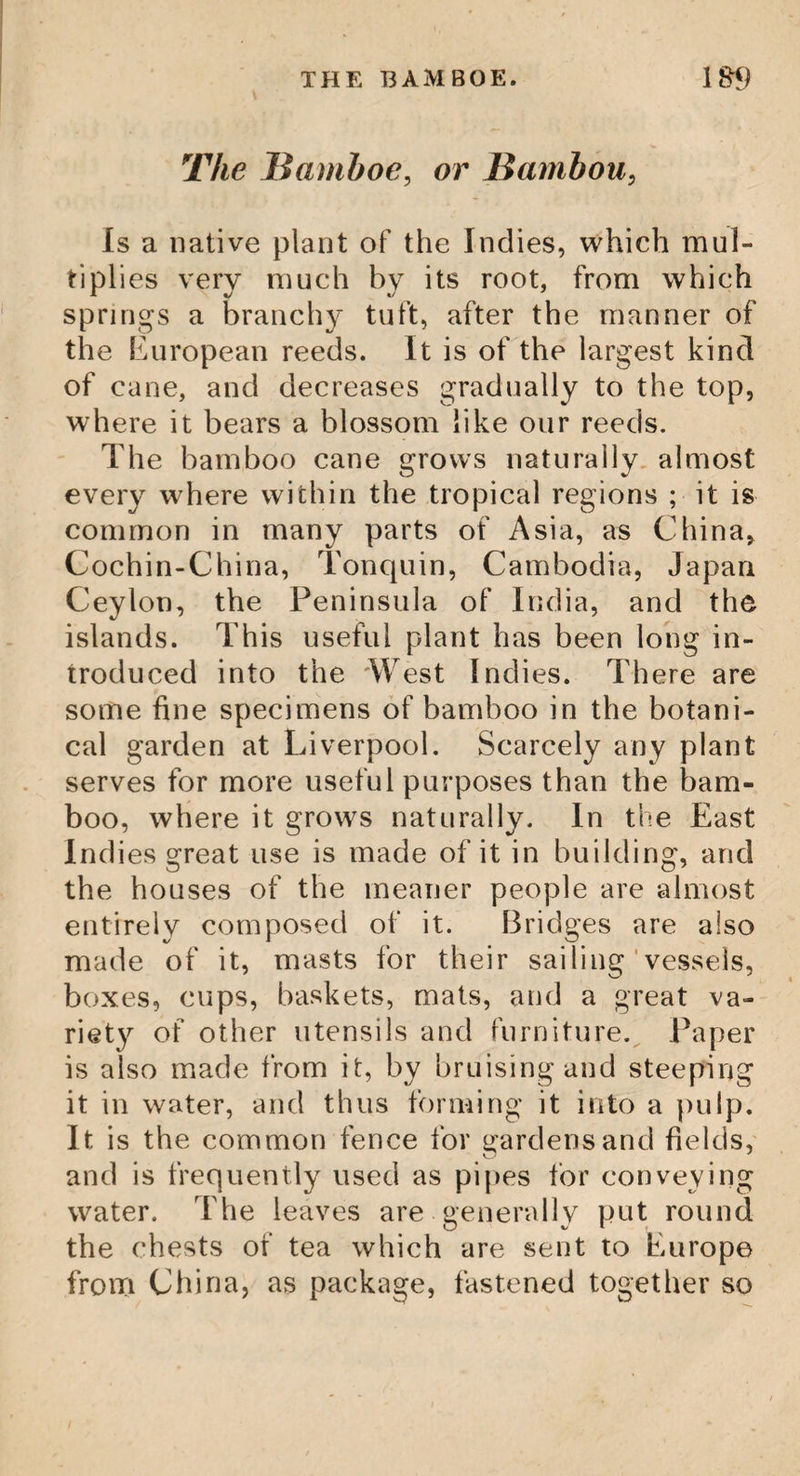 Highwayman’s Plant. Datura Herica, or Wild Heath V. * Hemp, Manured. Cannabis Sativa I. India Rubber, Caoutchouc, or Syringe tree John, St. his Bread. Caratonia. Carob tree Judas tree, Cercis Jake tree, or Sour Sack Juniper, or White Cedar tree Juniper, or Red Cedar tree Jericho, Rose of India Rubber plant. Urceola Elastica Ink shrub. Rhus Radicans Indian Corn, Zea, or Maize K. I Kooker-boom, or Quiver tree Kalmai Augusti-folia, or Dwarf Laurel L. Liriodendron, or Tulip tree Lime, or Linden tree, Tilia Lemon tree. Malus Limonia Liquid Ambar, or Sweet Gum tree Lotus, or Egyptian Water Lily Lien-hoa, or Chinese Lily Leather-wood shrub, Dirca Patustris Lignum Nephriticum, or Nephritic Wood M. PAGE. 122 151 162 60 68 69 74 78 80 125 144 159 164 66 \ 160 40 67 89 S2 748 142 157 182 Magney, or Mati tree 25