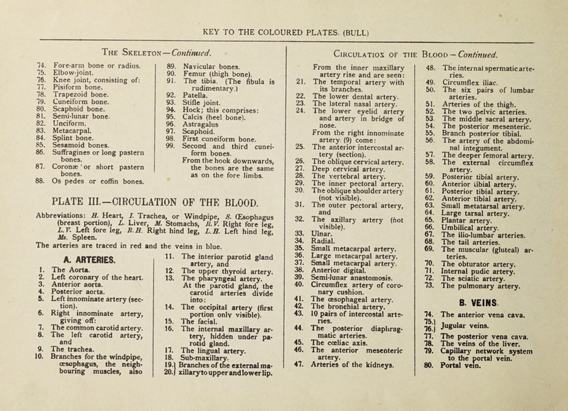 TH£ Skeleton—Contimied. Circulation of the 74. Fore-arm bone or radius. 75. Elbow-joint. 76. Knee joint, consisting of: 77. Pisiform bone. 78. Trapezoid bone. 79. Cuneiform bone. 80. Scaphoid bone. 81. Semi-lunar bone. 82. Unciform. 83. Metacarpal. 84. Splint bone. 85. Sesamoid bones. 86. Suifragines or long pastern bones. 87. Coronae ' or short pastern bones. 88. Os pedes or coffin bones. 89. Navicular bones. 90. Femur (thigh bone). 91. The tibia. (The hbula is rudimentary.) 92. Patella. 93. Stifle joint. 94. Hock; this comprises: 95. Calcis (heel bone). 96. Astragalus 97. Scaphoid. 98. First cuneiform bone. 99. Seconti and third cunei¬ form bones. From the hook downwards, the bones are the same as on the fore limbs. From the inner maxillary artery rise and are seen: 21. The temporal artery with its branches. 22. The lower dental artery. 23. The lateral nasal artery. 24. The lower eyelid artery and artery in bridge of nose. From the right innominate artery. (9) come: 25. The anterior intercostal ar: tery (section). 26. The oblique cervical artery. 27. Deep cervical artery. 28. The vertebral artery. 29. The inner pectoral artery. 30. The oblique shoulder artery (not visible). 31. The outer pectoral artery, and 32. The axillary artery (hot visible). 33. Ulnar. 34. Radial. 35. Small metacarpal arterj^. 36. Large metacarpal artery. 37. Small metacarpal arterj'. 38. Anterior digital. 39. Semi-lunar anastomosis. 40. Circumflex artery of coro¬ nary cushion. 41. The oesophageal artery. 42. The bronchial artery. 43. 10 pairs of intercostal arte- nes. 44. The posterior diaphrag¬ matic arteries. 45. The coeliac axis. 46. The anterior mesenteric artery. 47. Arteries of the kidneys. PLATE III.-CIECULATION OF THE BLOOD. Abbreviations: H. Heart, I. Trachea, or Windpipe, -S. (Esophagus (breast portion), L. Liver, M. Stomachs, Jl. V. Right fore leg, L.V, Left fore leg, R.H. Right hind leg, L.H. Left hind leg, Mz. Spleen. The arteries are traced in red and the veins in blue. A. ARTERIES. 1. The Aorta. 2. Left coronary of the heart. 3. Anterior aorta. 4. Posterior aorta. 5. Left innominate artery (sec¬ tion). 6. Right innominate artery, giving off: 7. The common carotid artery. 8. The left carotid artery, and 9. The trachea. 10. Branches for the windpipe, oesophagus, the neigh¬ bouring muscles, also 11. The interior parotid gland artery, and 12. The upper thyroid artery. 13. The pharyngeal artery. At the parotid gland, the carotid arteries divide into: 14. The occipital artery (first portion onlv visible). 15. The facial. 16. The internal maxillary ar¬ tery, hidden under pa¬ rotid gland. 17. The lingual artery. 18. Sub-maxillary. 19.1 Branches of the external ma- 20.) xillaryto upper and lower lip. Blood — Continued. 48. The internal spermatic arte¬ ries. 49. Circumflex iliac. 50. The six pairs of lumbar arteries. 51. Arteries of the thigh. 52. The two pelvic arteries. 53. The middle sacral artery. 54. The posterior mesenteric. 55. Branch posterior tibial. 56. The artery of the abdomi¬ nal integument. 57. The deeper femoral artery. 58. The external circumflex artery. 59. Posterior tibial artery. 60. Anterior tibial artery. 61. Posterior tibial artery. 62. Anterior tibial artery. 63. Small metatarsal artery. 64. Large tarsal artery. 65. Plantar artery. 66. Umbilical artery. 67. The ilio-lumbar arteries. 68. The tail arteries. 69. The muscular (gluteal) ar¬ teries. 70. The obturator artery. 71. Internal pudic artery. 72. The sciatic artery. 73. The pulmonary artery. B. VEINS 74. The anterior vena cava. 751 ■75'j Jugular veins. 77. The posterior vena cava. 78. The veins of the liver. 79. Capillary network system to the portal vein. 80. Portal vein.