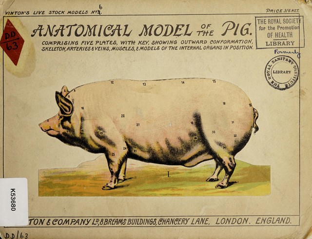 No text description is available for this image