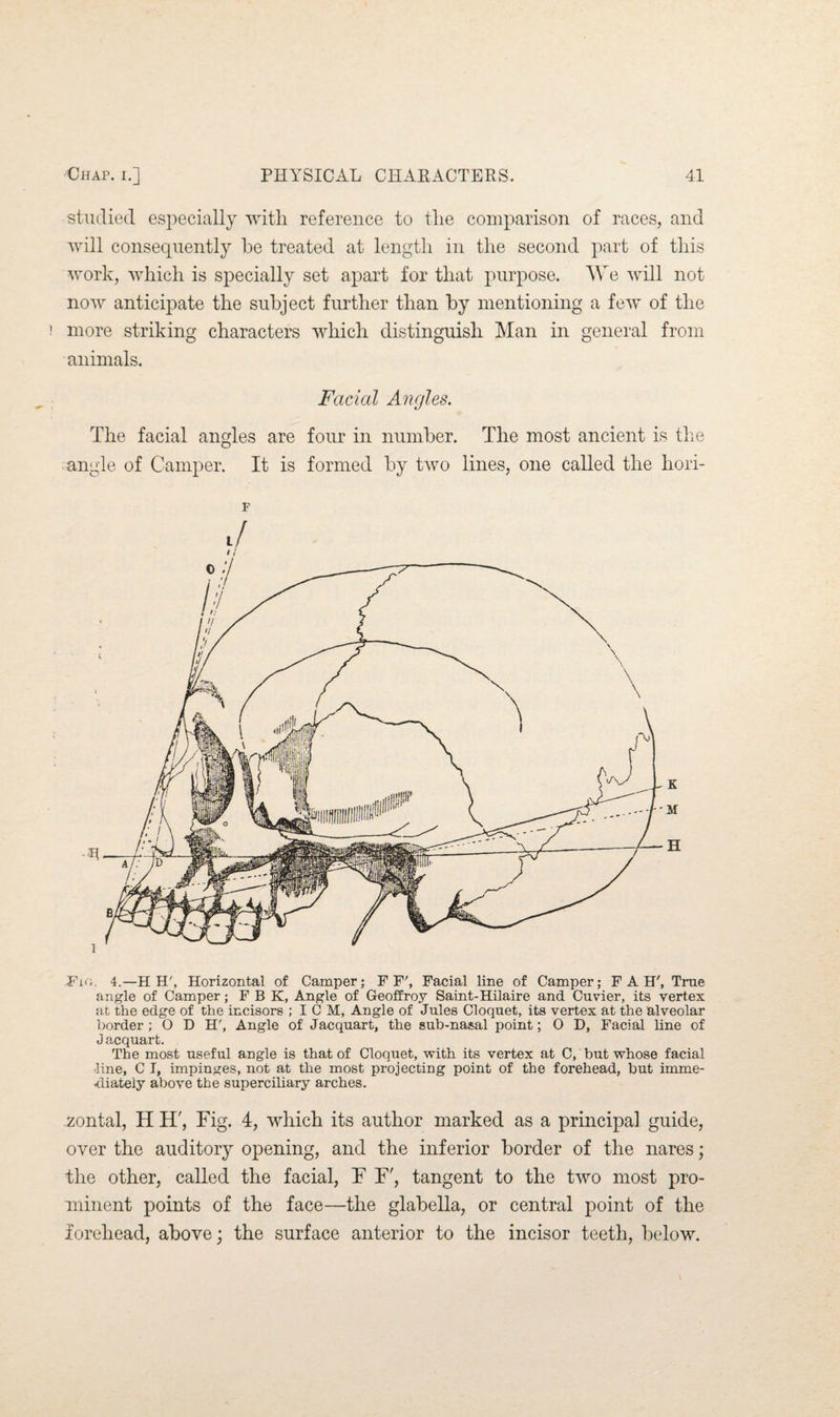 studied especially with reference to the comparison of races, and will consequently he treated at length in the second part of this work, which is specially set apart for that purpose. We will not now anticipate the subject further than by mentioning a few of the more striking characters which distinguish Man in general from animals. Facial Angles. The facial angles are four in number. The most ancient is the angle of Camper. It is formed by two lines, one called the hori- J 11 Fio. 4.—H H', Horizontal of Camper; FF', Facial line of Camper; FAH', True angle of Camper; F B K, Angle of Geoffroy Saint-Hilaire and Cuvier, its vertex at the edge of the incisors ; ICM, Angle of Jules Cloquet, its vertex at the alveolar border; O D H', Angle of Jacquart, the sub-nasal point; O D, Facial line of J acquart. The most useful angle is that of Cloquet, with its vertex at C, but whose facial line, C I, impinges, not at the most projecting point of the forehead, but imme¬ diately above the superciliary arches. zontal, H H', Fig. 4, which its author marked as a principal guide, over the auditory opening, and the inferior border of the nares; the other, called the facial, F F', tangent to the two most pro¬ minent points of the face—the glabella, or central point of the forehead, above; the surface anterior to the incisor teeth, below.