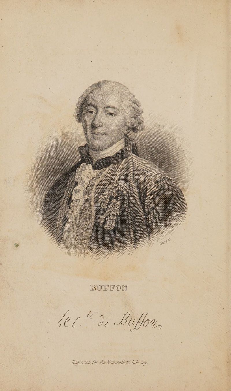 Yj, ty tj ty S SS NN BM 2. BU IF IF OW | Le. ae Lifer, Lngraved tor the Newuralists Library.