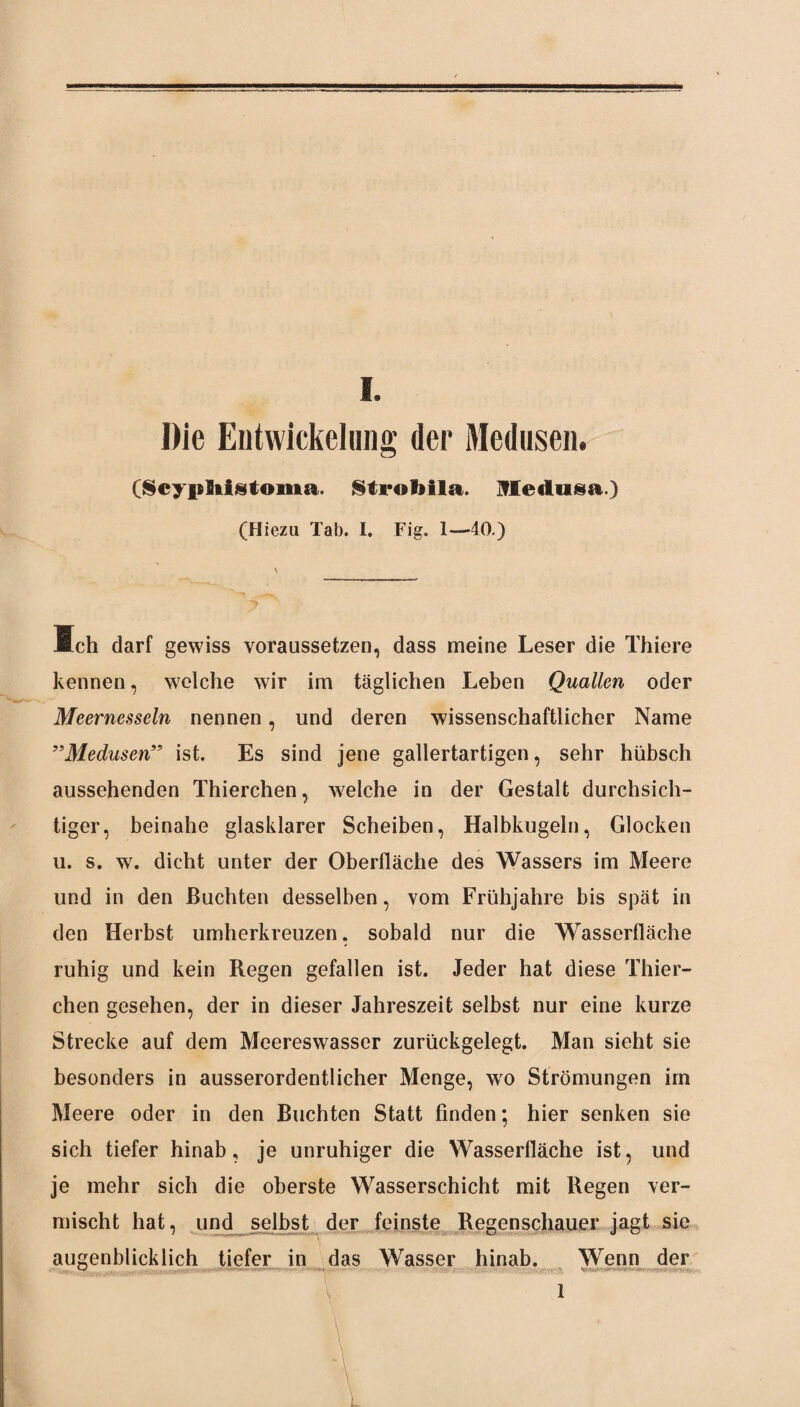 Die Entwickelung der Medusen. (Scypiitstoma. StroMla. Medusa.) (Hiezu Tab. I. Fig. 1—40.) ich darf gewiss voraussetzen, dass meine Leser die Thiere kennen, welche wir im täglichen Leben Quallen oder Meernesseln nennen, und deren wissenschaftlicher Name ”Medusen” ist. Es sind jene gallertartigen, sehr hübsch aussehenden Thierchen, welche in der Gestalt durchsich¬ tiger, beinahe glasklarer Scheiben, Halbkugeln, Glocken u. s. w. dicht unter der Oberfläche des Wassers im Meere und in den Buchten desselben, vom Frühjahre bis spät in den Herbst umherkreuzen, sobald nur die Wasserfläche ruhig und kein Regen gefallen ist. Jeder hat diese Thier¬ chen gesehen, der in dieser Jahreszeit selbst nur eine kurze Strecke auf dem Meereswasser zurückgelegt. Man sieht sie besonders in ausserordentlicher Menge, wo Strömungen im Meere oder in den Buchten Statt finden; hier senken sie sich tiefer hinab, je unruhiger die Wasserfläche ist, und je mehr sich die oberste Wasserschicht mit Regen ver¬ mischt hat, und selbst der feinste Regenschauer jagt sie augenblicklich tiefer in das Wasser hinab. Wenn der 1