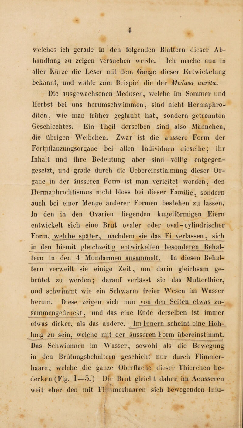 welches ich gerade in den folgenden Blättern dieser Ab¬ handlung zu zeigen versuchen werde. Ich mache nun in aller Kürze die Leser mit dem Gange dieser Entwickelung bekannt, und wähle zum Beispiel die der Medusa aurita. Die ausgewachsenen Medusen, welche im Sommer und Herbst bei uns herumschwimmen, sind nicht Hermaphro¬ diten, wie man früher geglaubt hat, sondern getrennten Geschlechtes. Ein Tlieil derselben sind also Männchen, die übrigen Weibchen. Zw7ar ist die äussere Form der Fortpflanzungsorgane bei allen Individuen dieselbe; ihr Inhalt und ihre Bedeutung aber sind völlig entgegen¬ gesetzt, und grade durch die Uebereinstimmung dieser Or¬ gane in der äusseren Form ist man verleitet worden, den Hermaphroditismus nicht bloss bei dieser Familie, sondern auch bei einer Menge anderer Formen bestehen zu lassen, ln den in den Ovarien liegenden kugelförmigen Eiern entwickelt sich eine Brut ovaler oder oval-cylindrischer Form, welche später, nachdem sie das Ei verlassen, sich in den hiemit gleichzeitig entwickelten besonderen Behäl¬ tern in den 4 Mundarmen ansammelt. In diesen Behäl¬ tern verw eilt sie einige Zeit, um darin gleichsam ge¬ brütet zu werden • darauf verlässt sie das Mutterthier, und schwimmt wie ein Schwarm freier Wesen im Wasser herum. Diese zeigen sich nun von den Seiten etwas zu¬ sammengedrückt, und das eine Ende derselben ist immer etwas dicker, als das andere. Im Innern scheint eine Höh¬ lung zu sein, welche mit der äusseren Form übereinstimmt. Das Schwimmen im Wasser, sowohl als die Bewegung in den Brütungsbehältern geschieht nur durch Flimmer¬ haare, welche die ganze Oberfläche dieser Thierchen be¬ decken (Fig. 1—5.) Di Brut gleicht daher im Aeusseren v<tv * weit eher den mit Fl merhaaren sich bewegenden Infu-