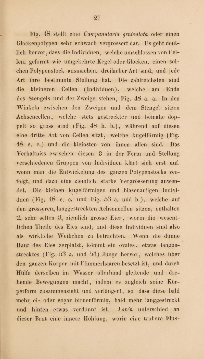 Fig, 48 stellt eine Campanularia geniculata oder einen Glockenpolypen sehr schwach vergrössert dar. Es geht deut¬ lich hervor, dass die Individuen, welche umschlossen von Gel¬ len, geformt wie umgekehrte Kegel oder Glocken, einen sol¬ chen Polypenstock ausmachen, dreifacher Art sind, und jede Art ihre bestimmte Stellung hat. Die zahlreichsten sind die kleineren Cellen (Individuen), welche am Ende des Stengels und der Zweige stehen, Fig. 48 a. a. ln den Winkeln zwischen den Zweigen und dem Stengel sitzen Achsencellen, welche stets gestreckter und beinahe dop¬ pelt so gross sind (Fig. 48 b. b.), während auf diesen eine dritte Art von Cellen sitzt, welche kugelförmig (Fig. 48 c. c.) und die kleinsten von ihnen allen sind. Das Verhältniss zwischen diesen 3 in der Form und Stellung verschiedenen Gruppen von Individuen klärt sich erst auf, wenn man die Entwickelung des ganzen Polypenstocks ver¬ folgt, und dazu eine ziemlich starke Vergrösserung anwen¬ det. Die kleinen kugelförmigen und blasenartigen Indivi¬ duen (Fig. 48 c. c. und Fig. 53 a. und b.), welche auf den grösseren, langgestreckten Achsencellen sitzen, enthalten 2, sehr selten 3, ziemlich grosse Eier, worin die wesent¬ lichen Theile des Eies sind, und diese Individuen sind also als wirkliche Weibchen zu betrachten. Wenn die dünne Haut des Eies zerplatzt, kömmt ein ovales, etwas langge¬ strecktes (Fig. 53 a. und 54) Junge hervor, welches über den ganzen Körper mit Flimmerhaaren besetzt ist, und durch Hülfe derselben im Wasser allerhand gleitende lind dre¬ hende Bewegungen macht, indem es zugleich seine Kör¬ perform zusammenzieht und verlängert, so dass diese bald mehr ei- oder sogar birnenförmig, bald mehr langgestreckt und hinten etwas verdünnt ist Loven unterschied an dieser Brut eine innere Höhlung, worin eine trübere Flüs-