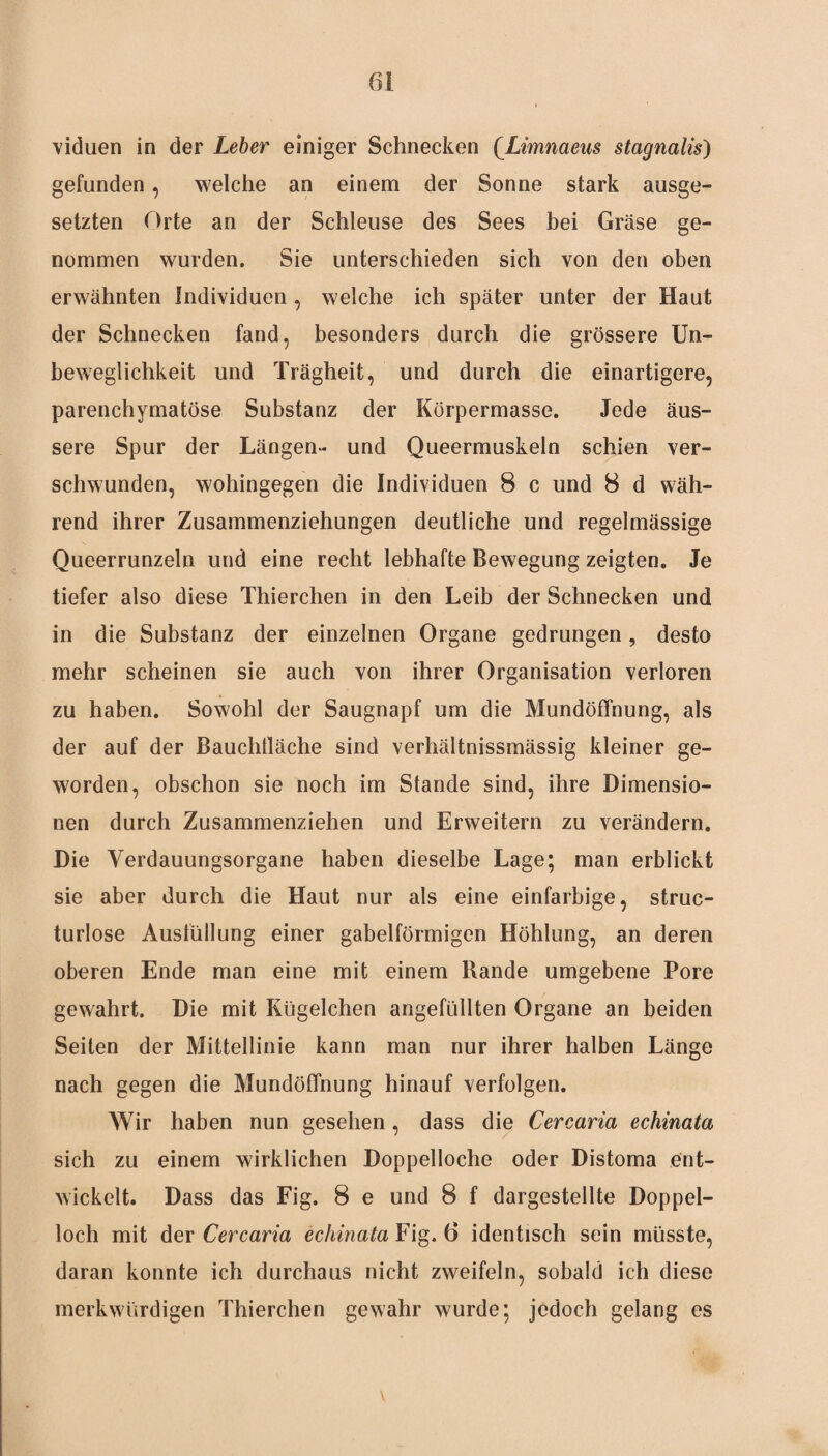 viduen in der Leber einiger Schnecken [Limnaeus stagnalis) gefunden, welche an einem der Sonne stark ausge¬ setzten Orte an der Schleuse des Sees bei Grase ge¬ nommen wurden. Sie unterschieden sich von den oben erwähnten Individuen , welche ich später unter der Haut der Schnecken fand, besonders durch die grössere Un¬ beweglichkeit und Trägheit, und durch die einartigere, parenchymatöse Substanz der Körpermasse. Jede äus¬ sere Spur der Längen- und Queermuskeln schien ver¬ schwunden, wohingegen die Individuen 8 c und 8 d wäh¬ rend ihrer Zusammenziehungen deutliche und regelmässige Queerrunzeln und eine recht lebhafte Bewegung zeigten. Je tiefer also diese Thierchen in den Leib der Schnecken und in die Substanz der einzelnen Organe gedrungen, desto mehr scheinen sie auch von ihrer Organisation verloren zu haben. Sowohl der Saugnapf um die Mundöffnung, als der auf der Bauchtläche sind verhältnissmässig kleiner ge¬ worden, obschon sie noch im Stande sind, ihre Dimensio¬ nen durch Zusammenziehen und Erweitern zu verändern. Die Verdauungsorgane haben dieselbe Lage; man erblickt sie aber durch die Haut nur als eine einfarbige, struc- turlose Ausfüllung einer gabelförmigen Höhlung, an deren oberen Ende man eine mit einem Rande umgebene Pore gewahrt. Die mit Kügelchen angefüllten Organe an beiden Seilen der Mittellinie kann man nur ihrer halben Länge nach gegen die MundöfTnung hinauf verfolgen. Wir haben nun gesehen, dass die Cercaria echinata sich zu einem wirklichen Doppelloche oder Distoma ent¬ wickelt. Dass das Fig. 8 e und 8 f dargestellte Doppel¬ loch mit der Cercaria echinata Fig. 6 identisch sein müsste, daran konnte ich durchaus nicht zweifeln, sobald ich diese merkwürdigen Thierchen gewahr wurde; jedoch gelang es